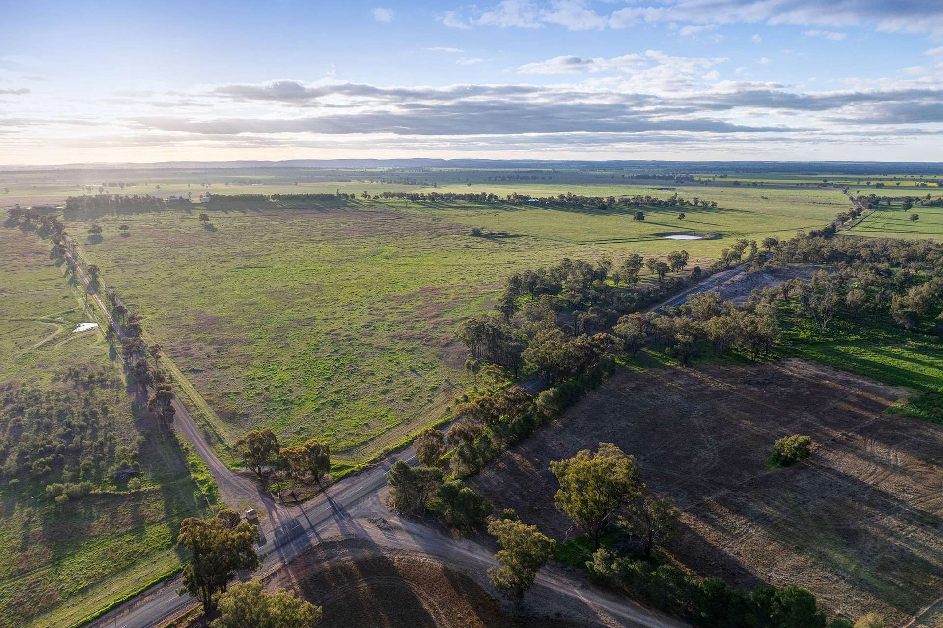 783 Calarie Road, Forbes For Sale by Farmbuy.com - image 3