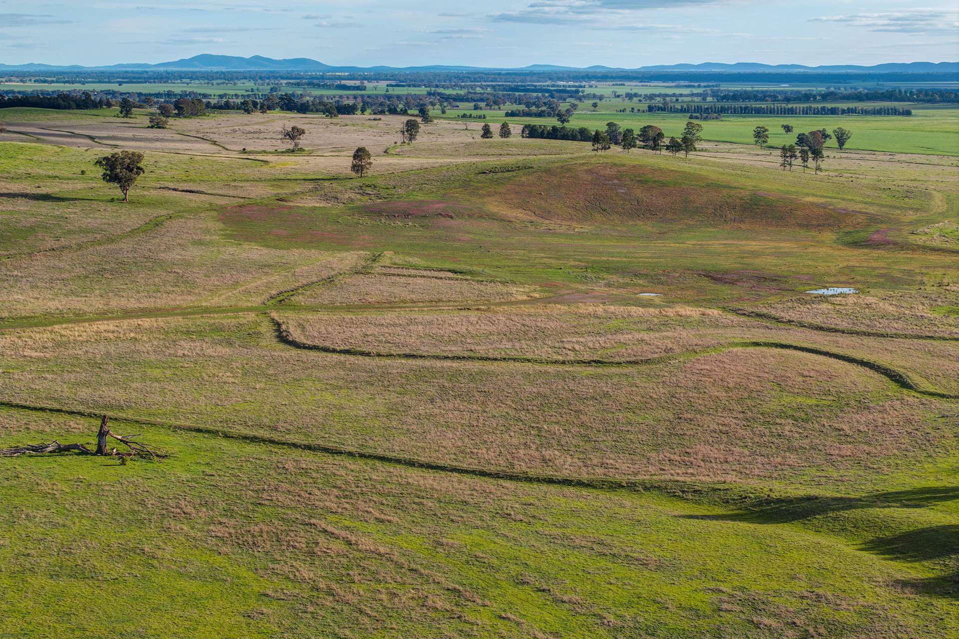783 Calarie Road, Forbes For Sale by Farmbuy.com - image 18