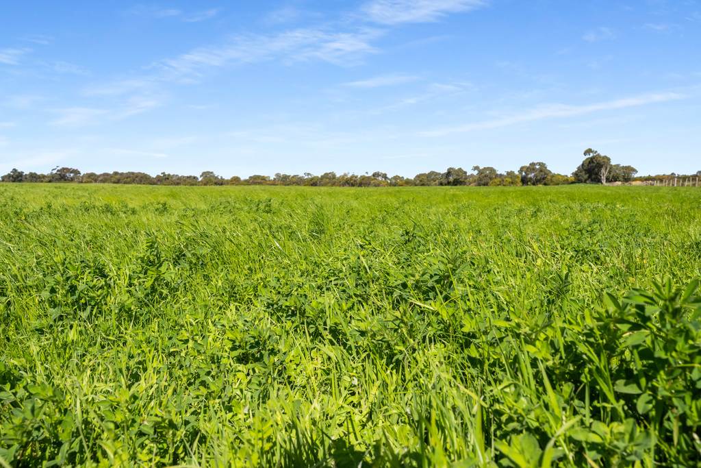 993 Clay Wells Road, Bray SA 5276