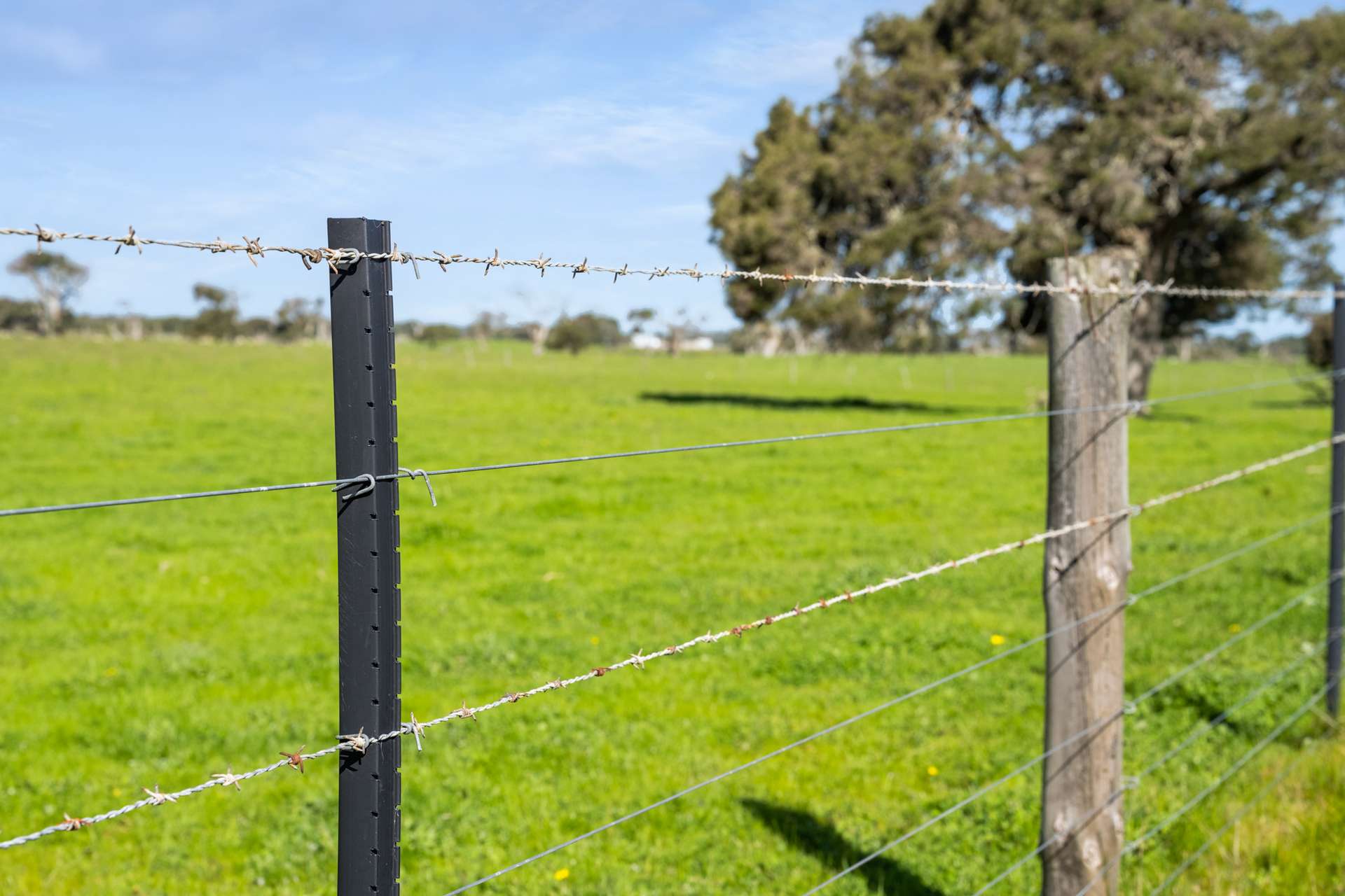 993 Clay Wells Road, Bray For Sale by Farmbuy.com - image 11