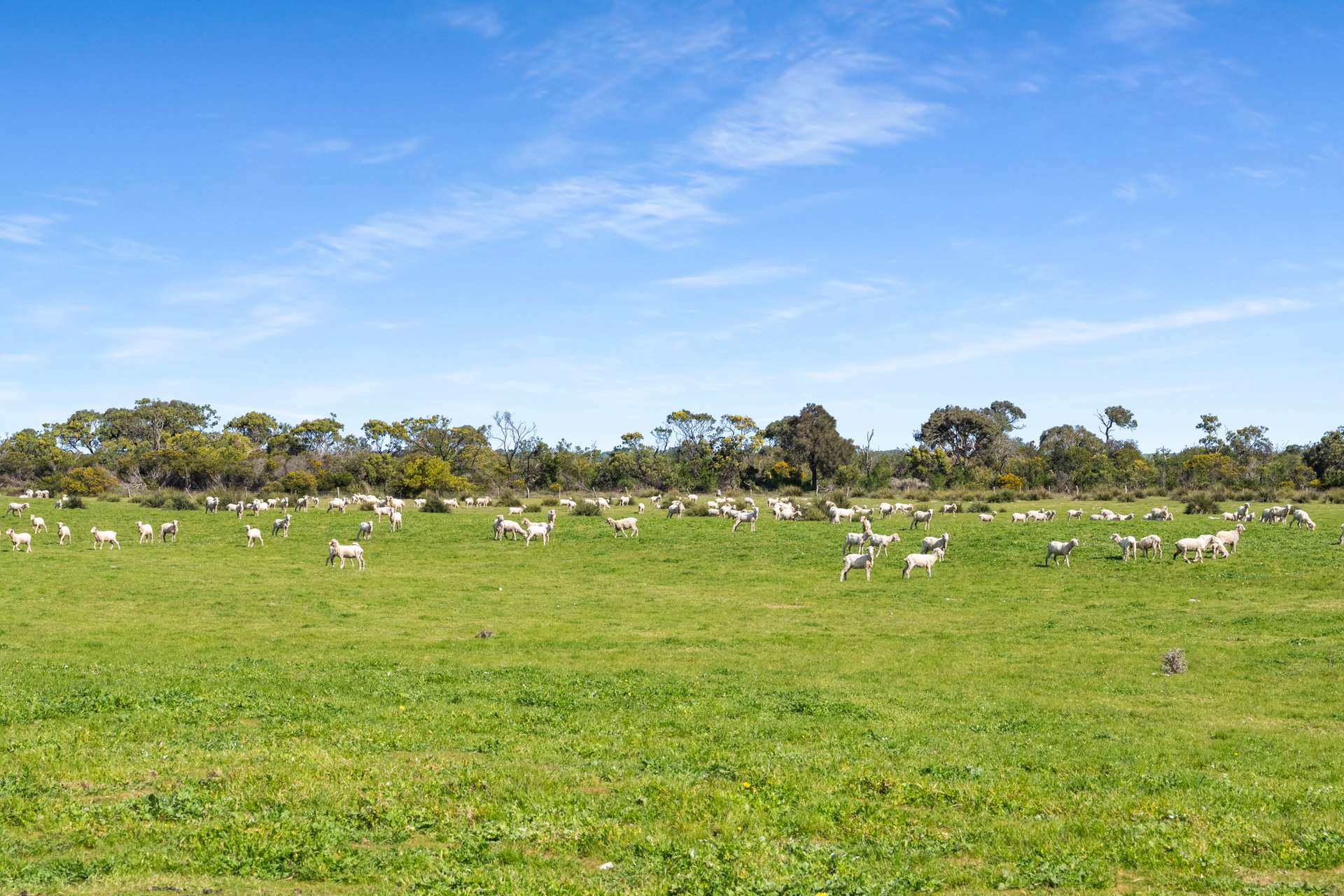 993 Clay Wells Road, Bray For Sale by Farmbuy.com - image 15