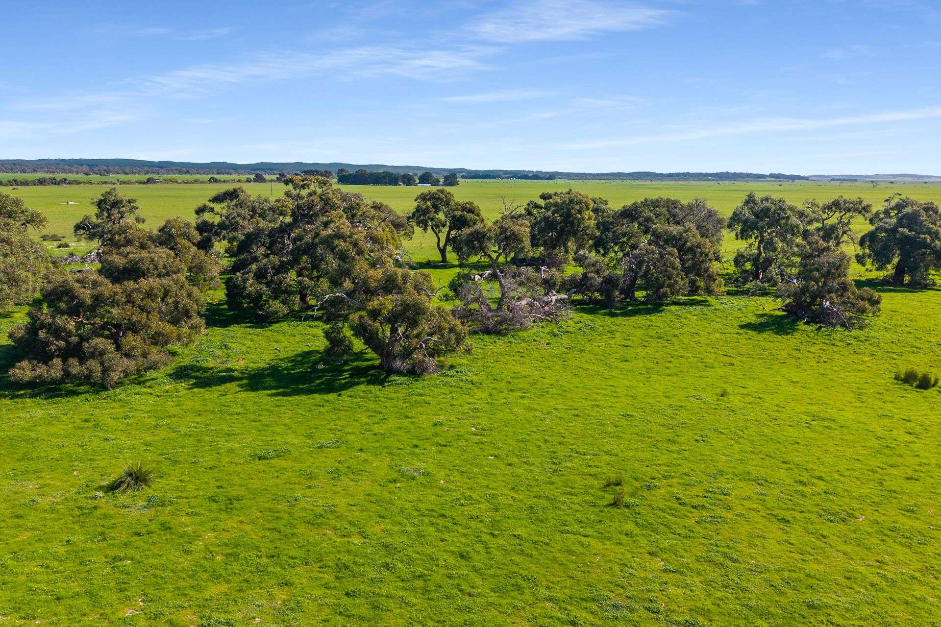 993 Clay Wells Road, Bray For Sale by Farmbuy.com - image 3