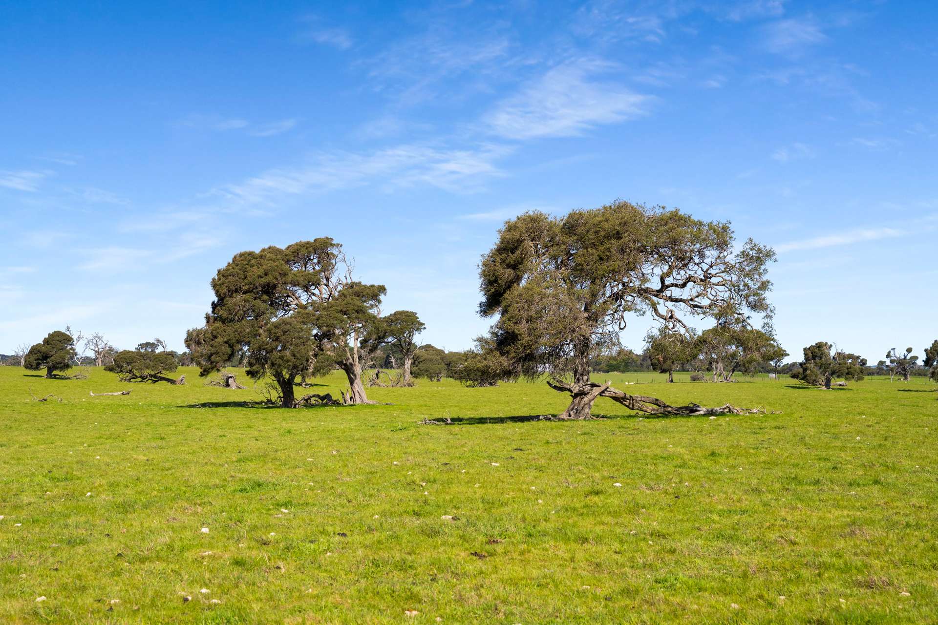 993 Clay Wells Road, Bray For Sale by Farmbuy.com - image 24