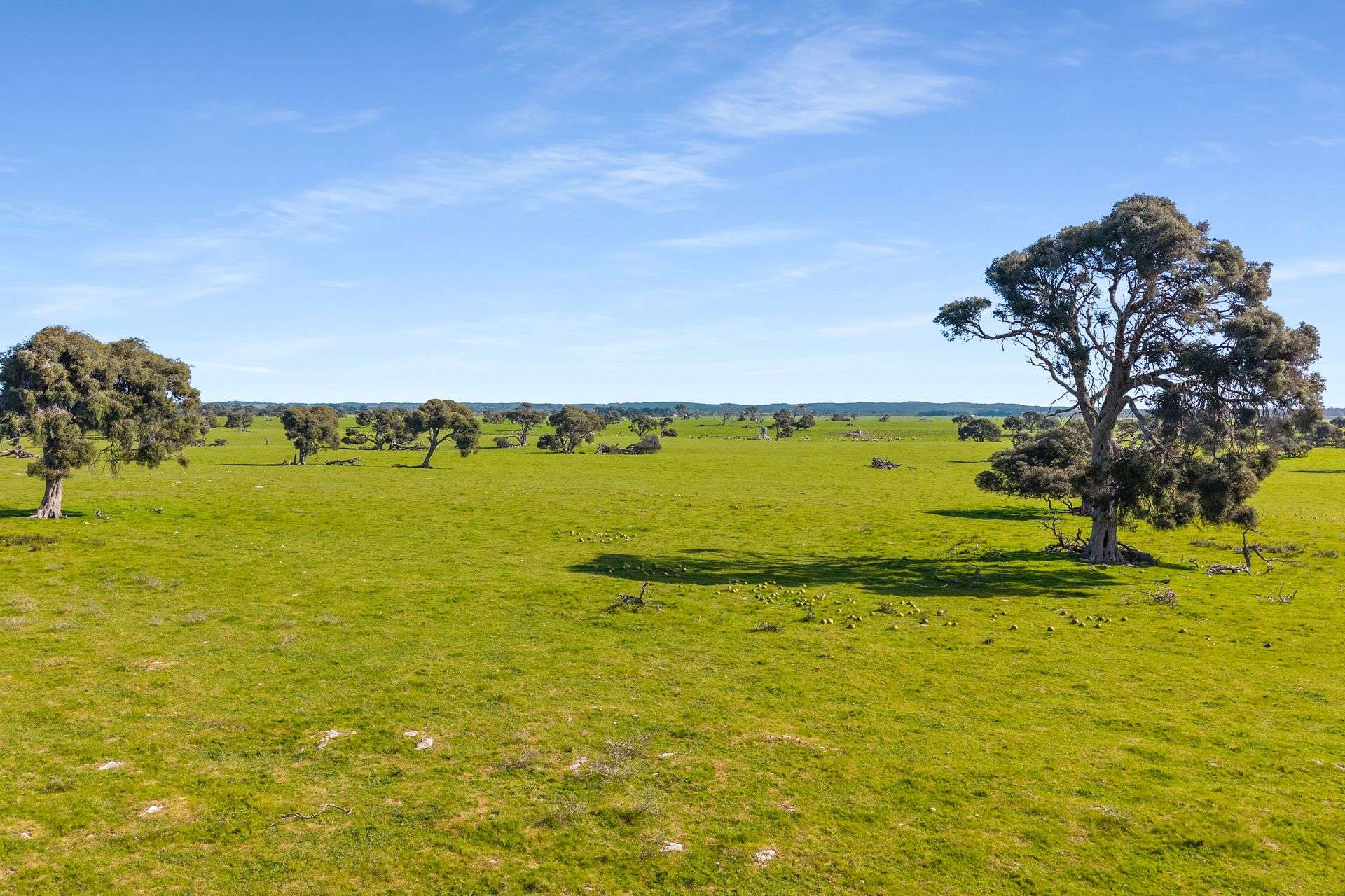993 Clay Wells Road, Bray For Sale by Farmbuy.com - image 30