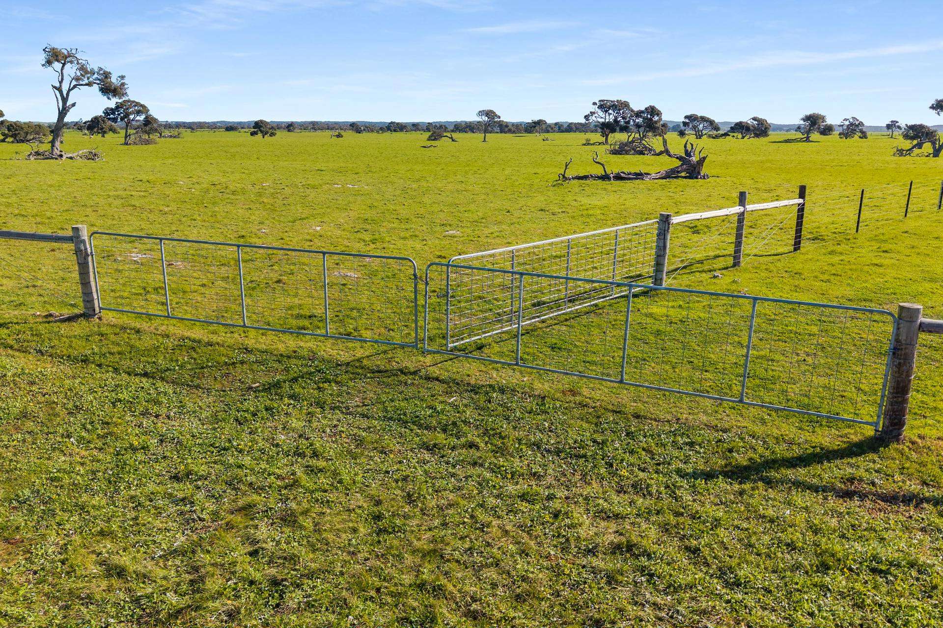993 Clay Wells Road, Bray For Sale by Farmbuy.com - image 23