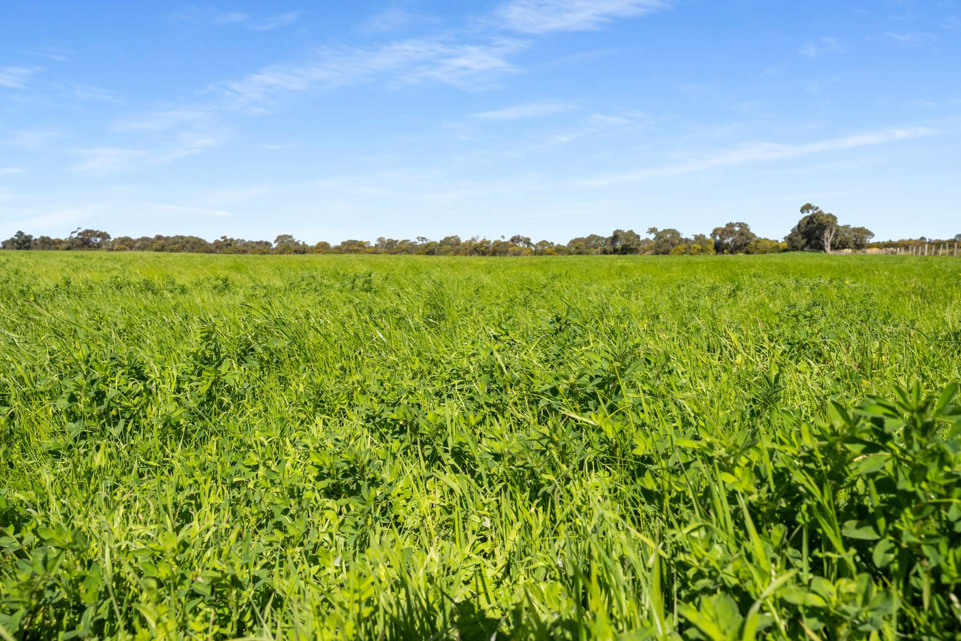 993 Clay Wells Road, Bray For Sale by Farmbuy.com - image 1