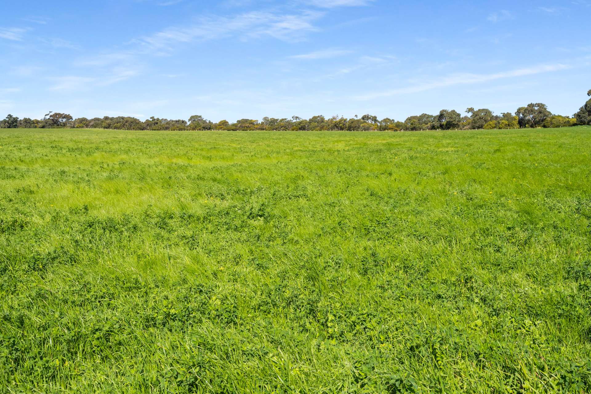993 Clay Wells Road, Bray For Sale by Farmbuy.com - image 19