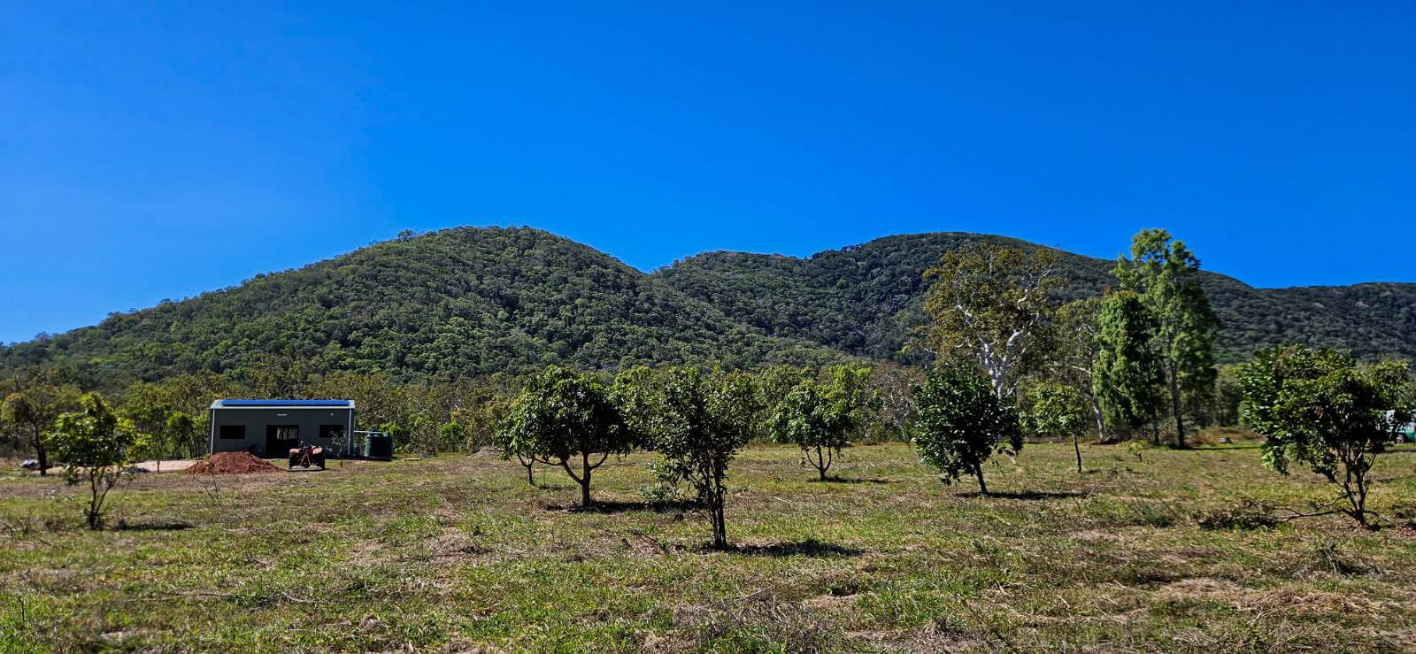556 Mount Amos Road, Cooktown For Sale by Farmbuy.com - image 24