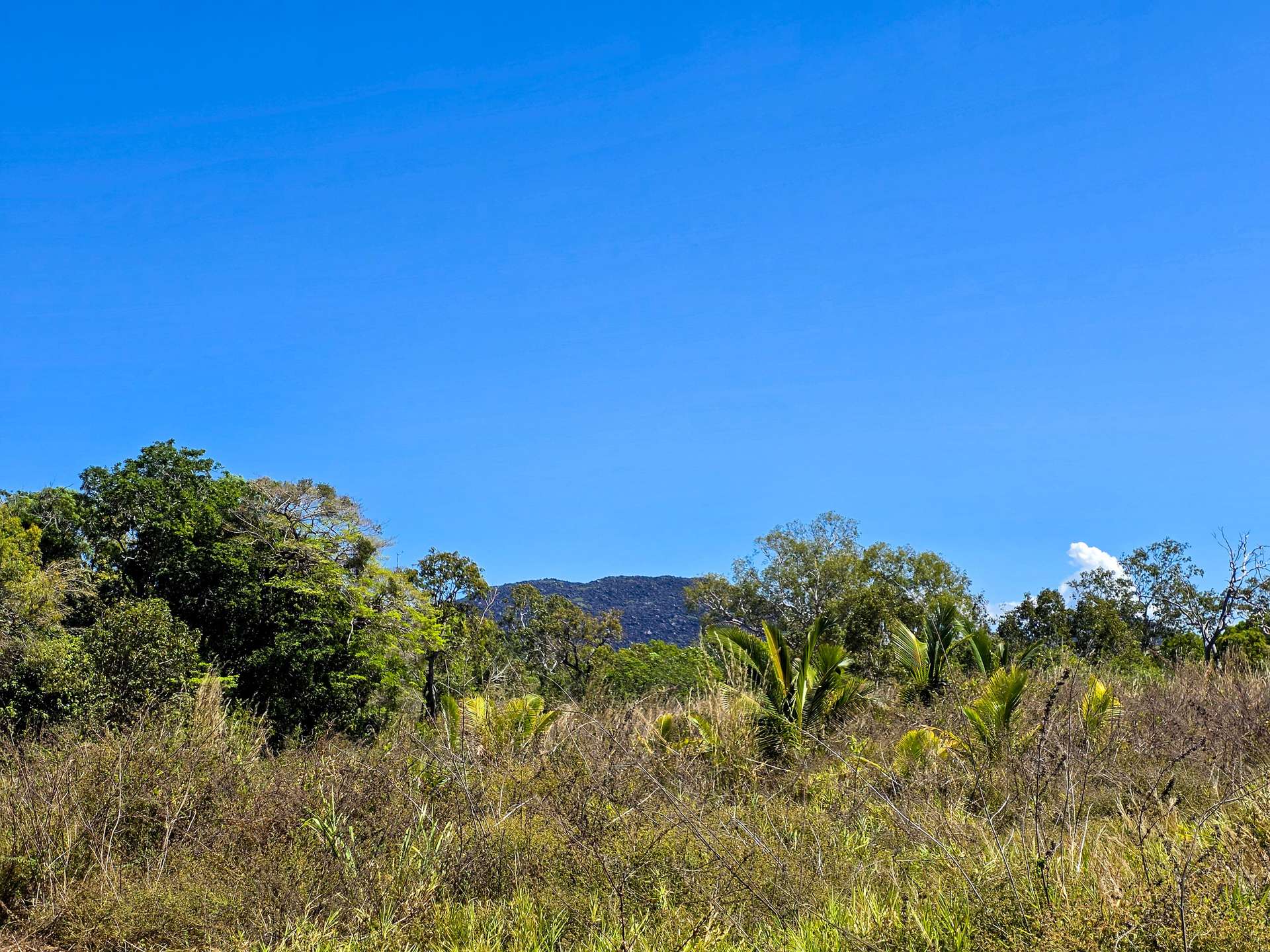 556 Mount Amos Road, Cooktown For Sale by Farmbuy.com - image 14