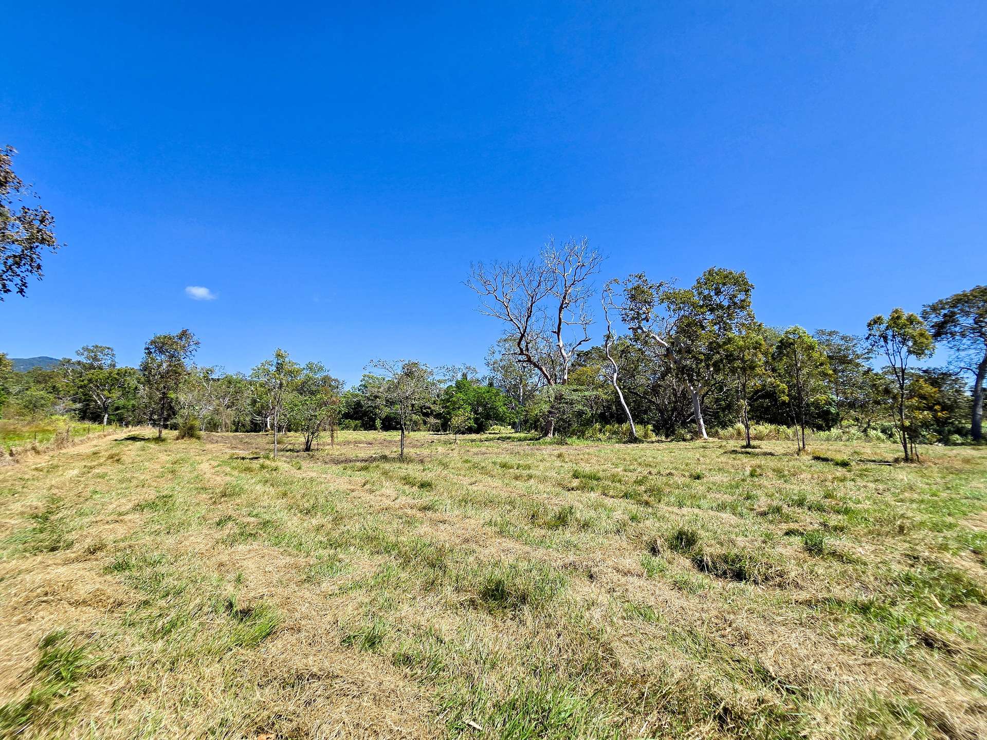 556 Mount Amos Road, Cooktown For Sale by Farmbuy.com - image 16