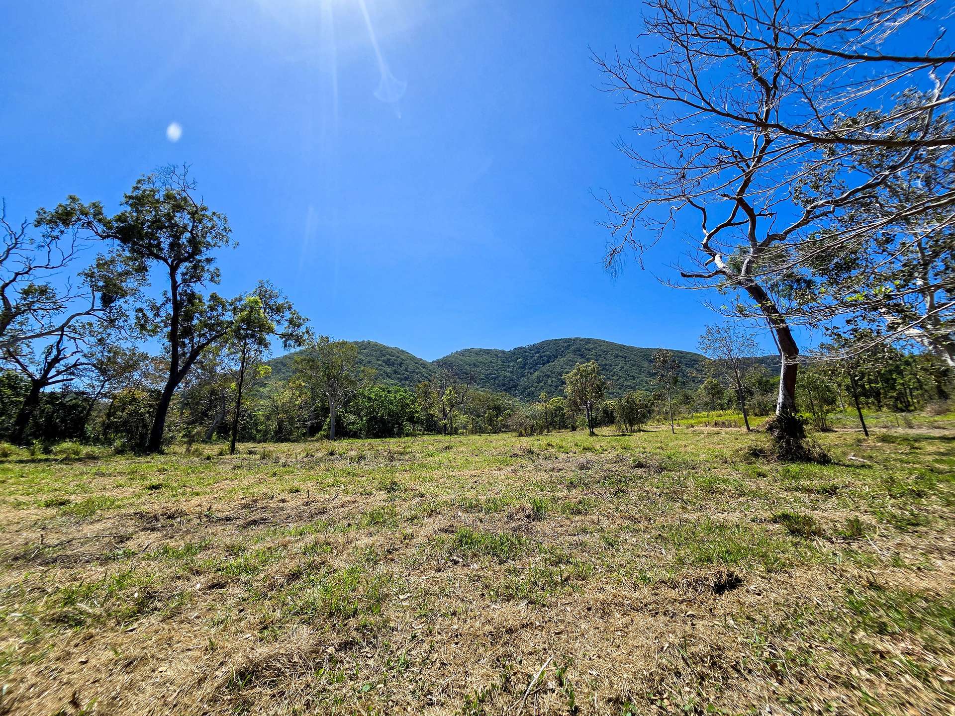 556 Mount Amos Road, Cooktown For Sale by Farmbuy.com - image 17