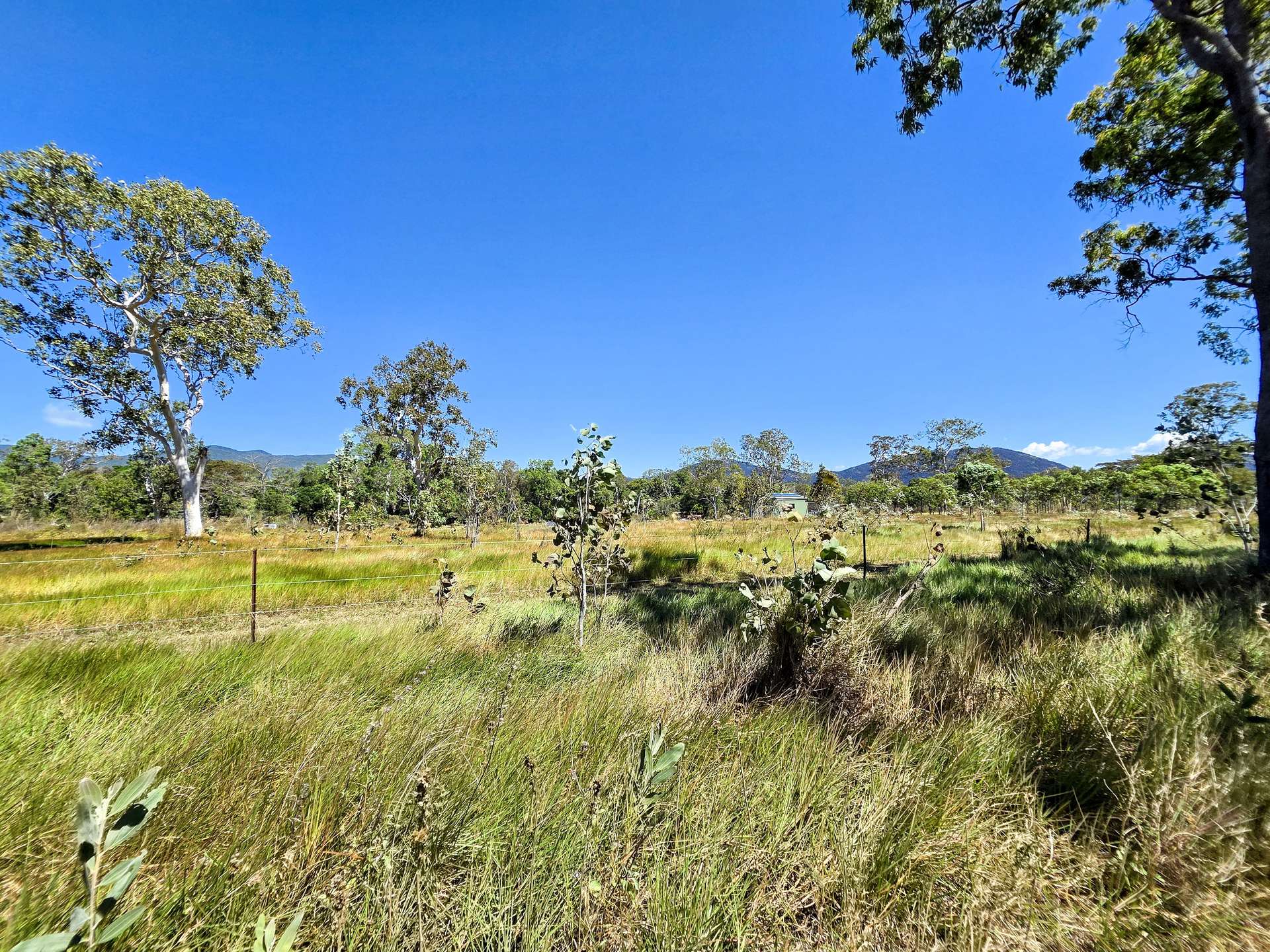 556 Mount Amos Road, Cooktown For Sale by Farmbuy.com - image 20