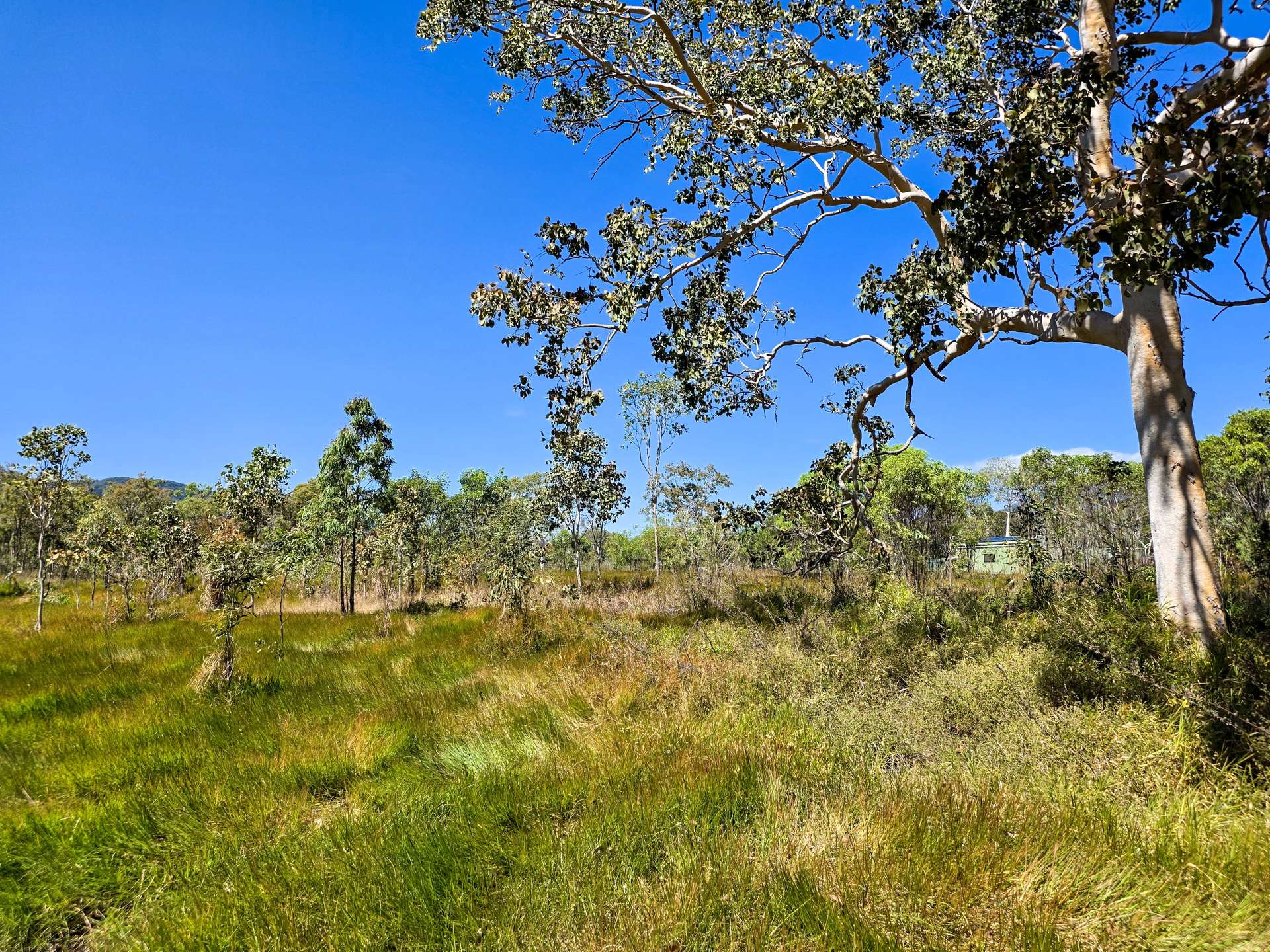 556 Mount Amos Road, Cooktown For Sale by Farmbuy.com - image 8