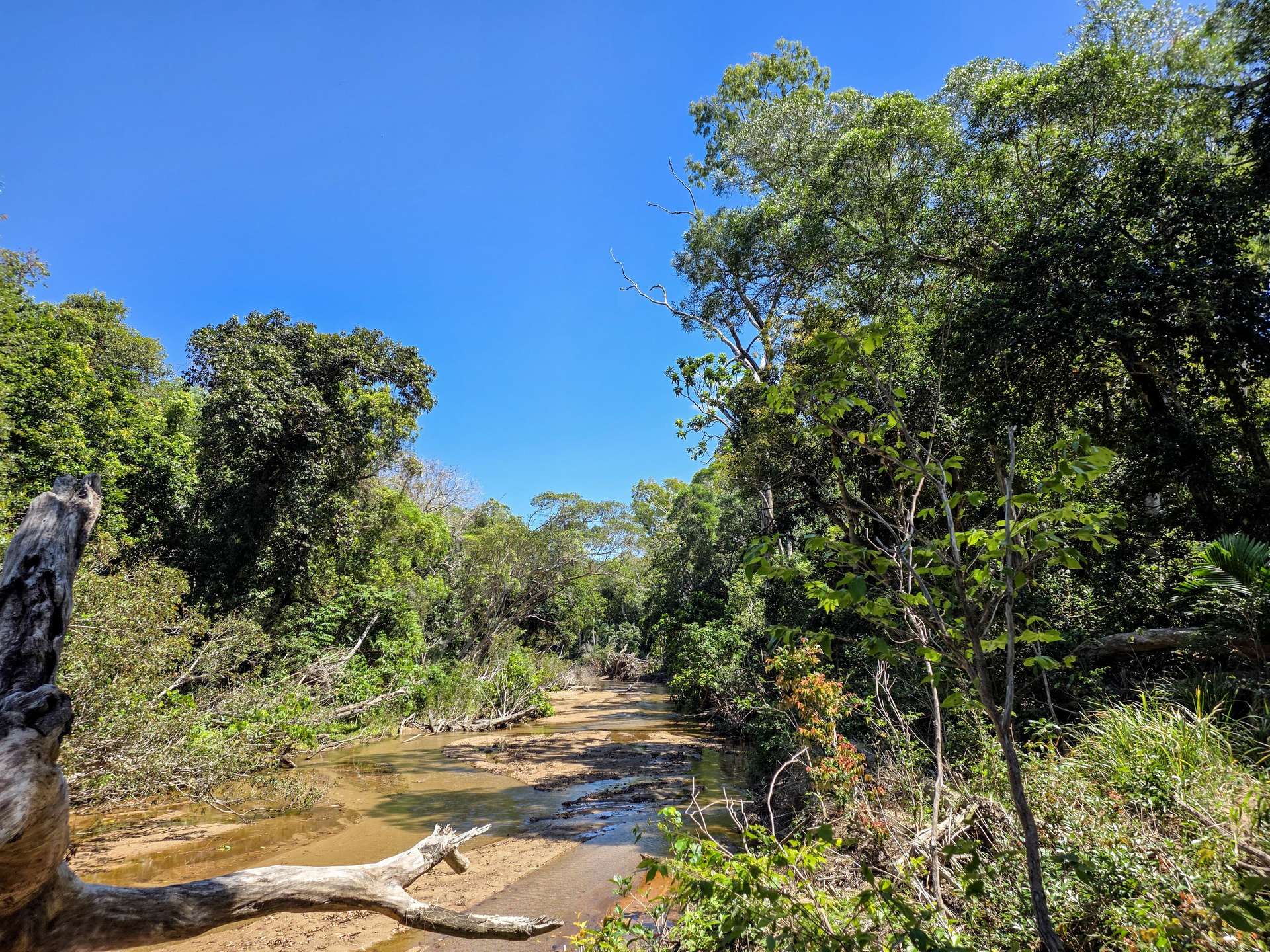 556 Mount Amos Road, Cooktown For Sale by Farmbuy.com - image 12