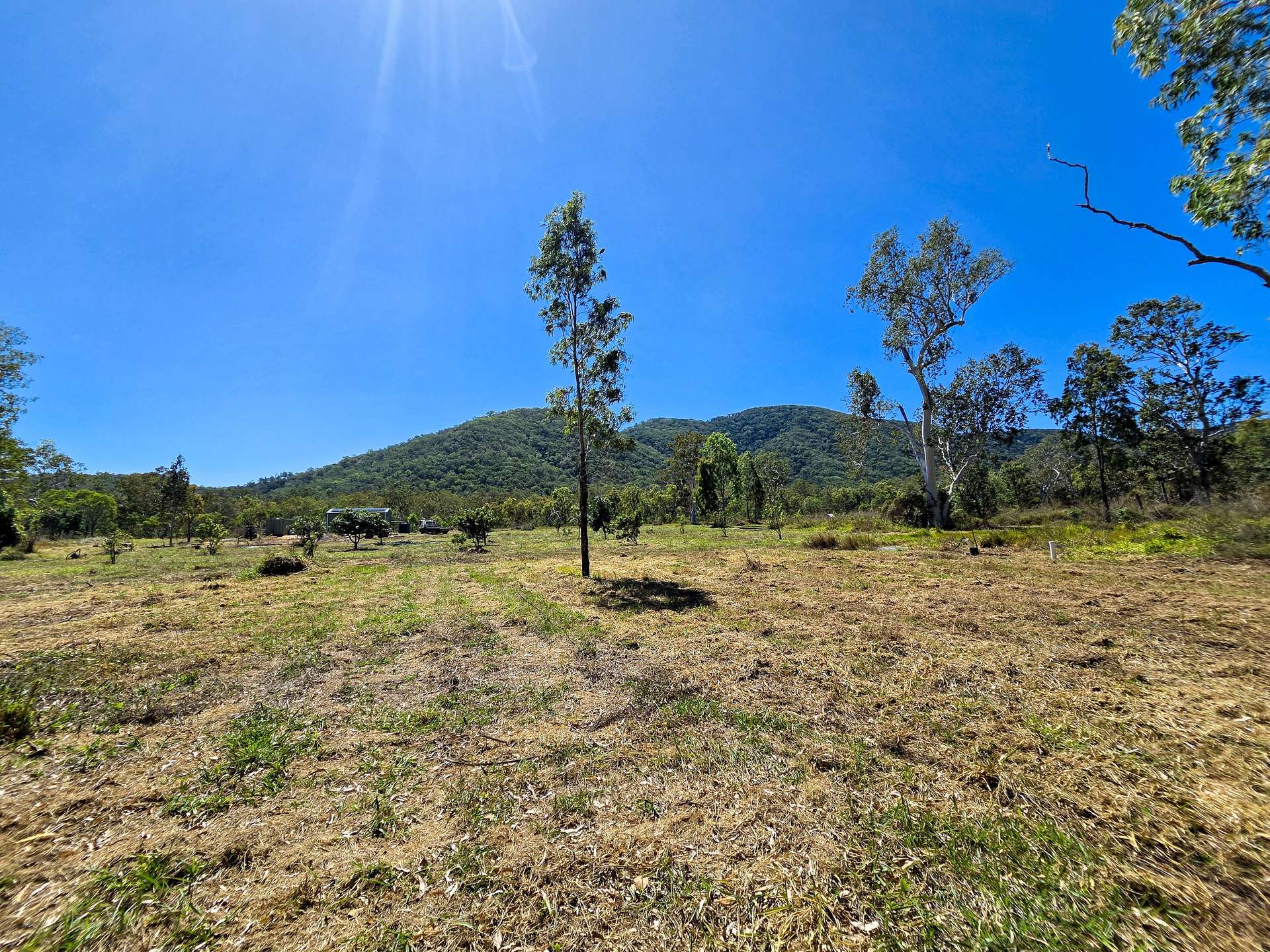 556 Mount Amos Road, Cooktown For Sale by Farmbuy.com - image 19