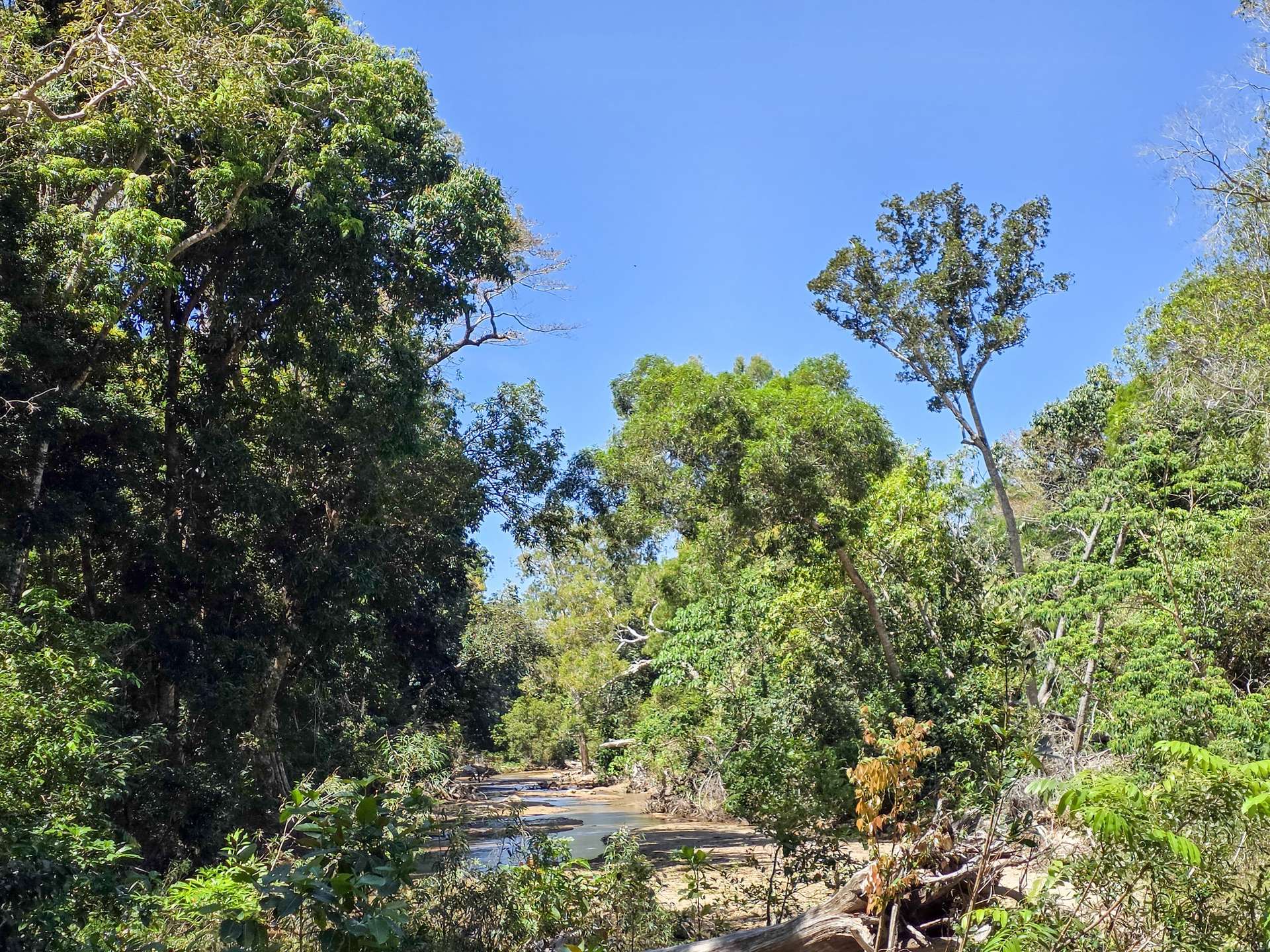 556 Mount Amos Road, Cooktown For Sale by Farmbuy.com - image 11