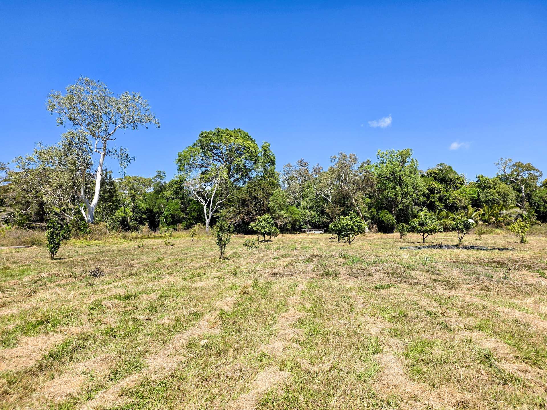 556 Mount Amos Road, Cooktown For Sale by Farmbuy.com - image 3