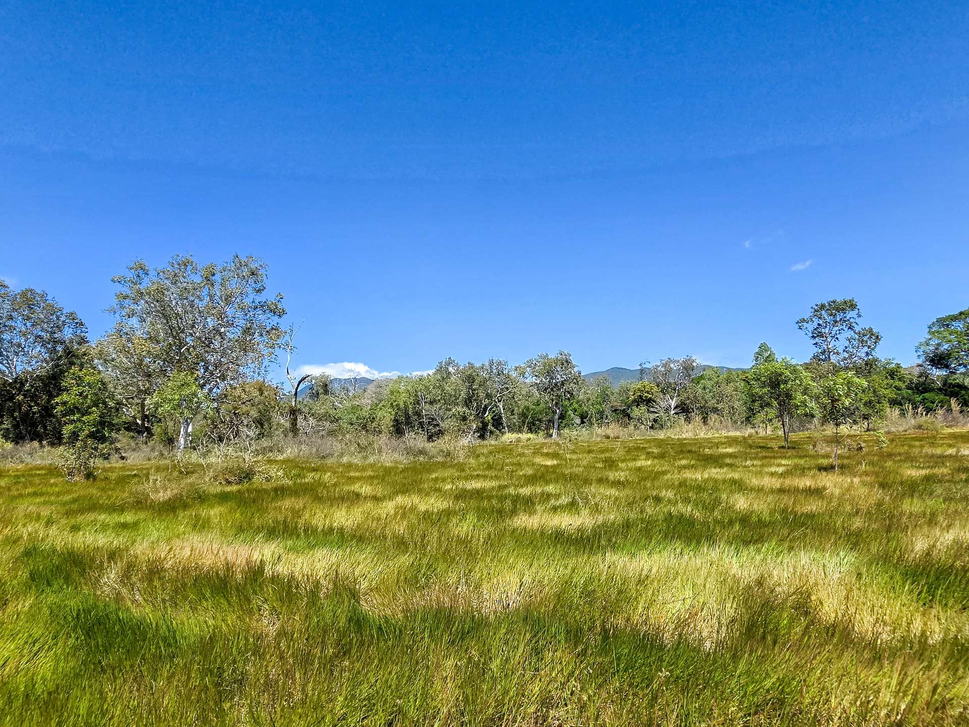 556 Mount Amos Road, Cooktown For Sale by Farmbuy.com - image 18