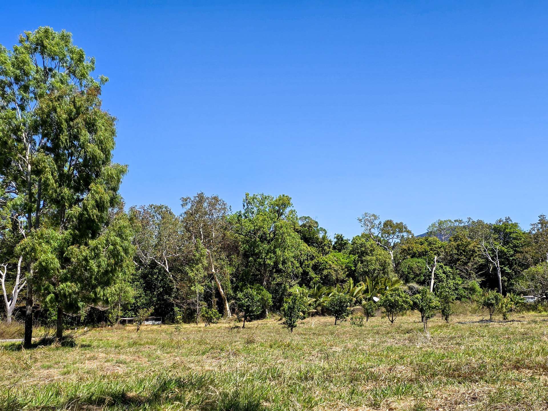556 Mount Amos Road, Cooktown For Sale by Farmbuy.com - image 15