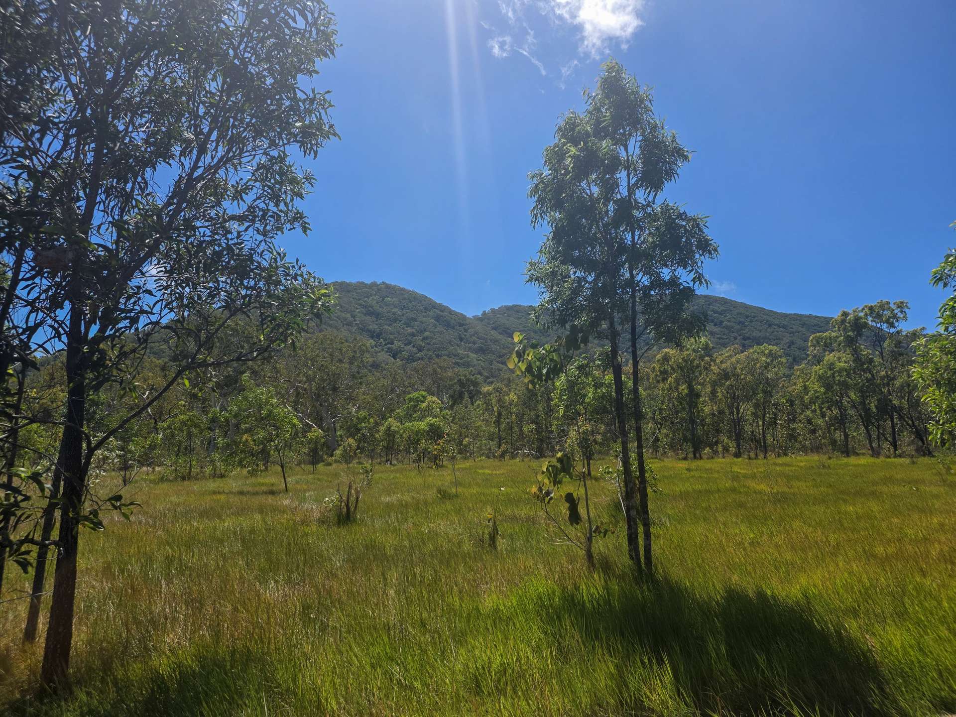 556 Mount Amos Road, Cooktown For Sale by Farmbuy.com - image 7