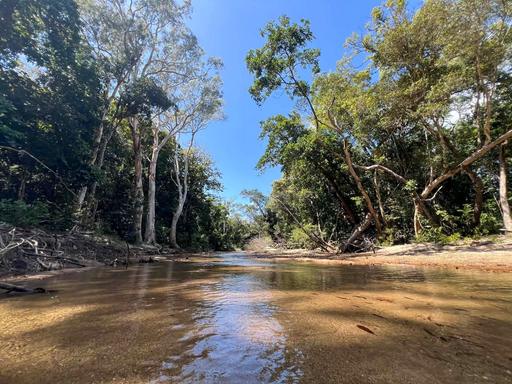 Farm For Sale - QLD - Cooktown - 4895 - A Rare Far North Queensland 