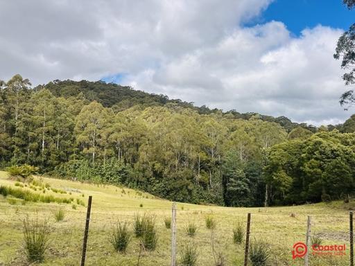 Farm For Sale - TAS - North Motton - 7315 - PRIVATE RETREAT 
11.94 HECTARES (29.4 ACRES) 