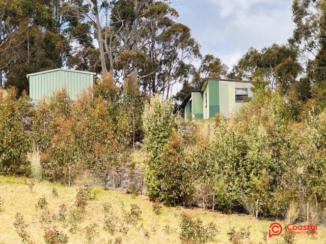 Harveys Road, North Motton For Sale by Farmbuy.com - image 6