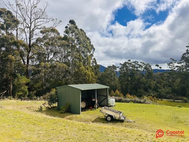 Harveys Road, North Motton For Sale by Farmbuy.com - image 5
