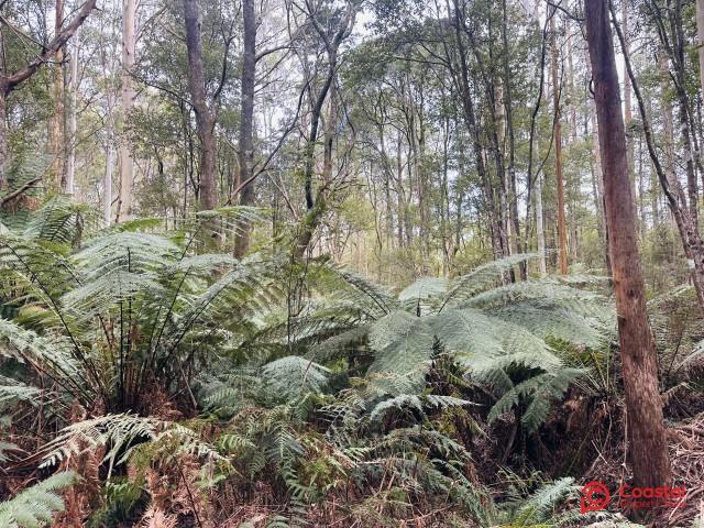 Harveys Road, North Motton For Sale by Farmbuy.com - image 13