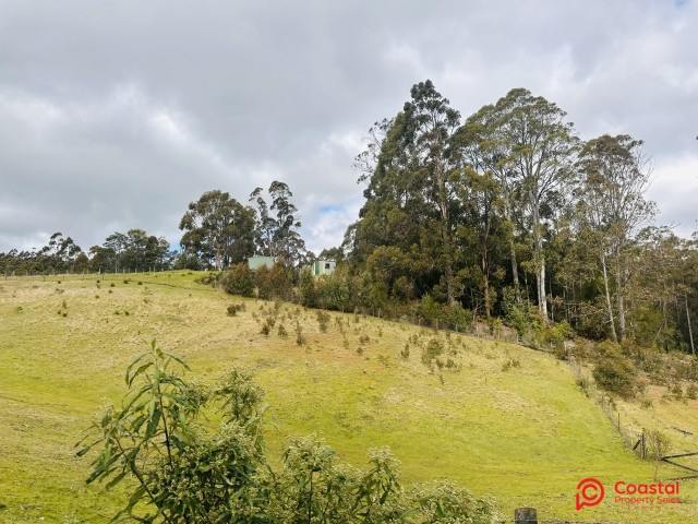 Harveys Road, North Motton For Sale by Farmbuy.com - image 9