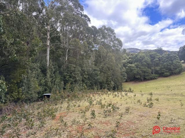 Harveys Road, North Motton For Sale by Farmbuy.com - image 15