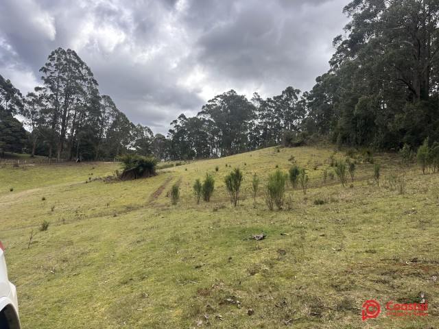 Harveys Road, North Motton For Sale by Farmbuy.com - image 14