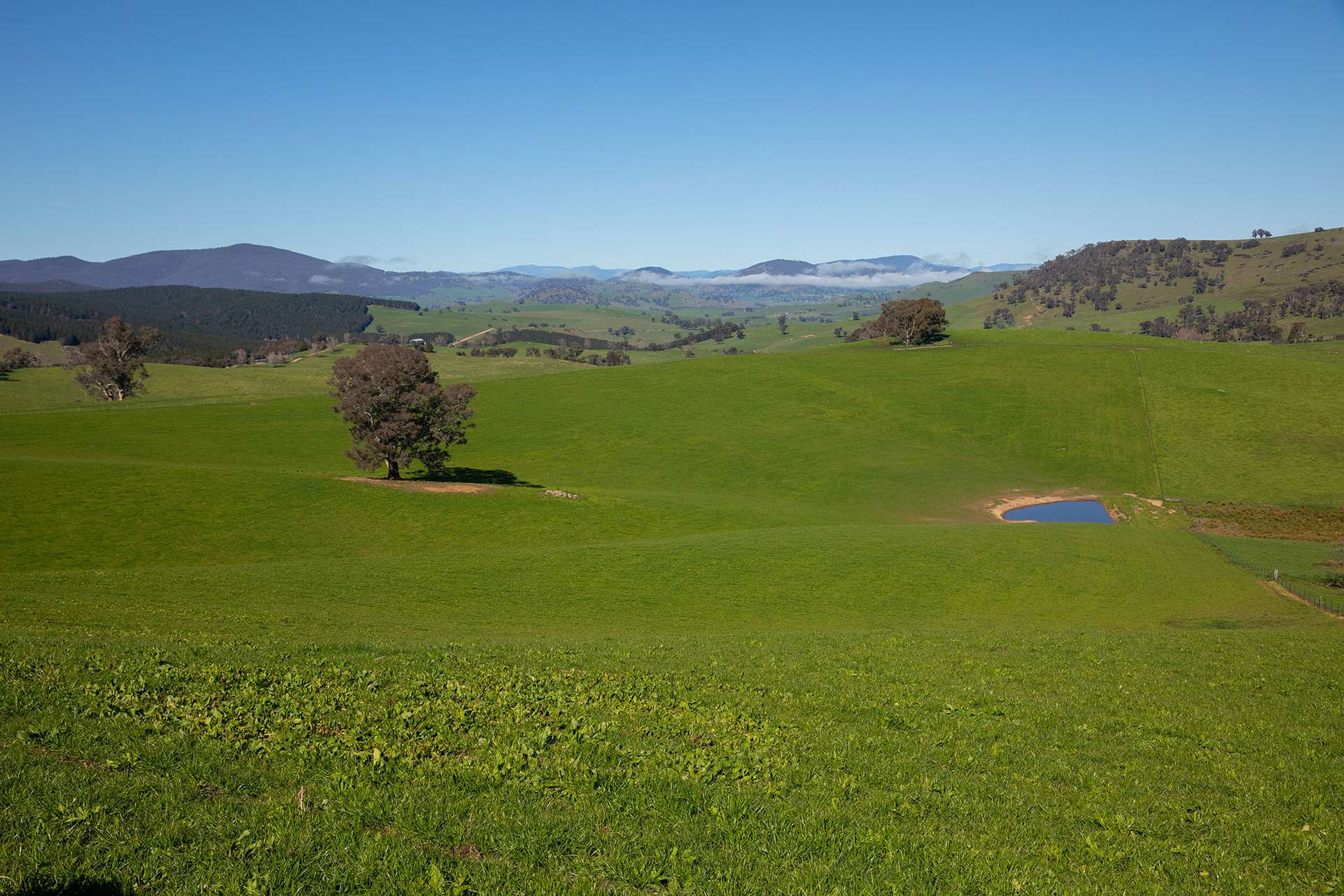 641 Maragle Creek Road, Tooma For Sale by Farmbuy.com - image 23