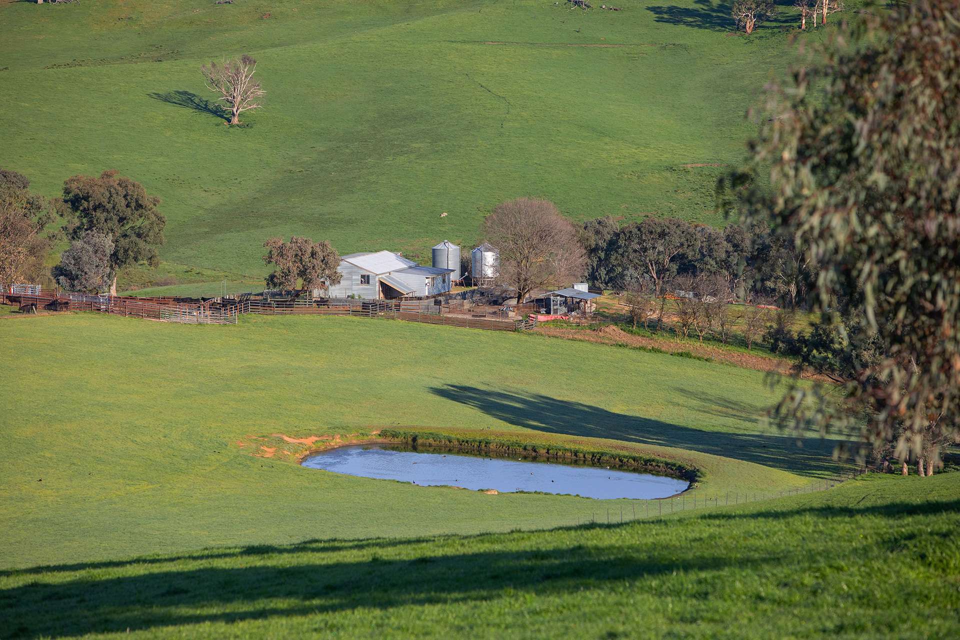 641 Maragle Creek Road, Tooma For Sale by Farmbuy.com - image 9