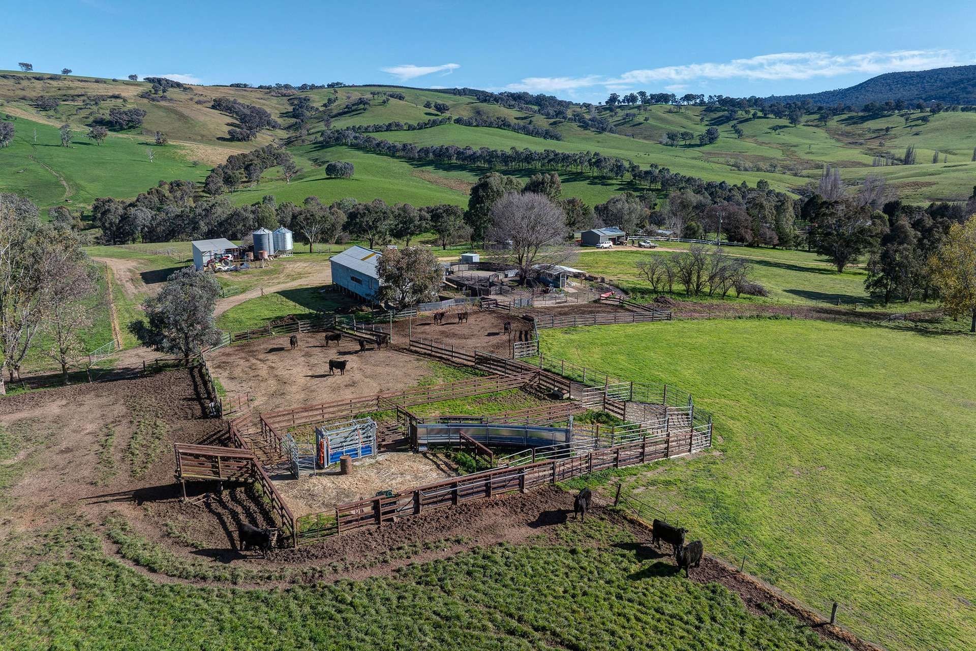 641 Maragle Creek Road, Tooma For Sale by Farmbuy.com - image 22