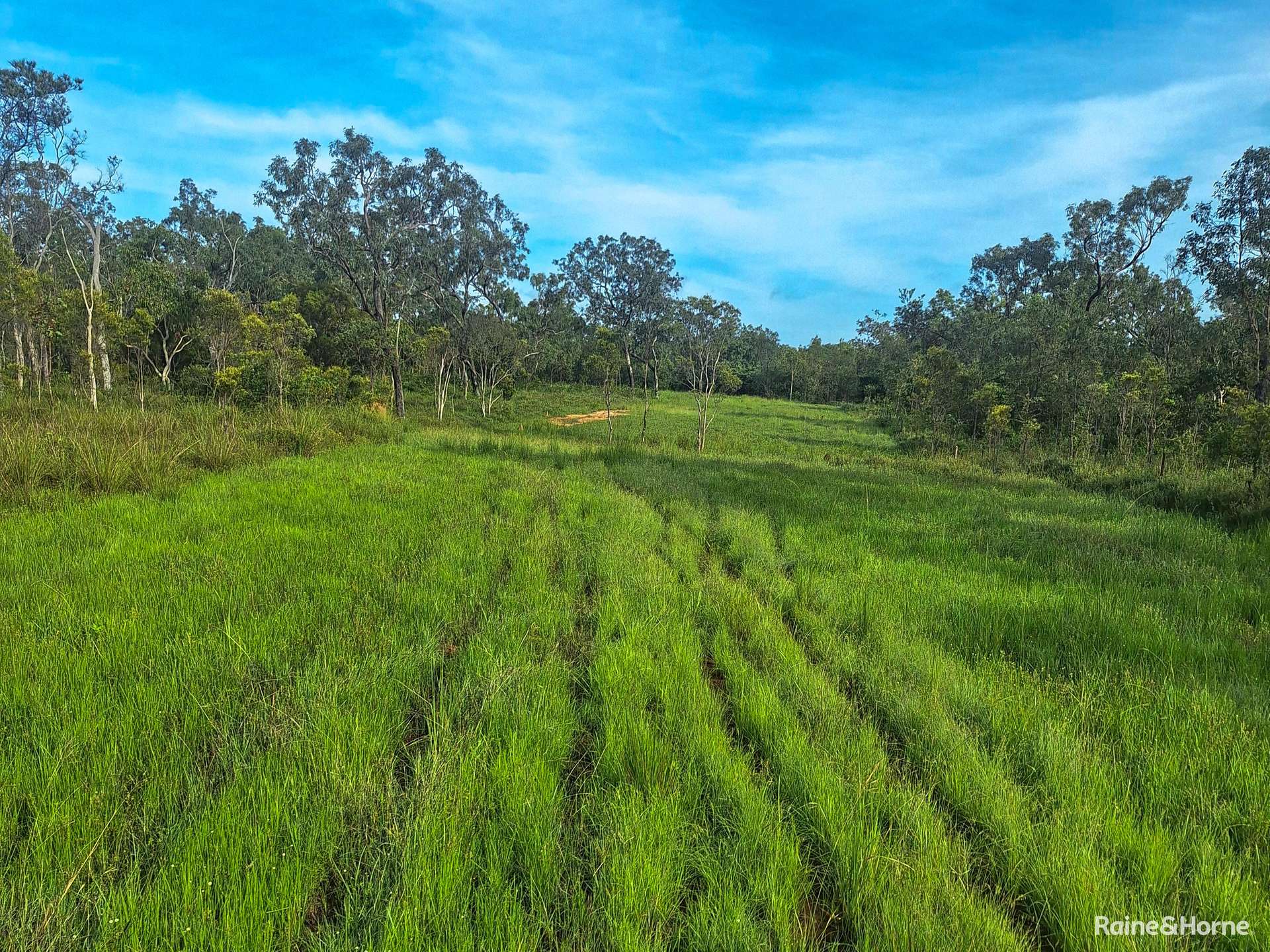 109 Short Road, Dimbulah For Sale by Farmbuy.com - image 6