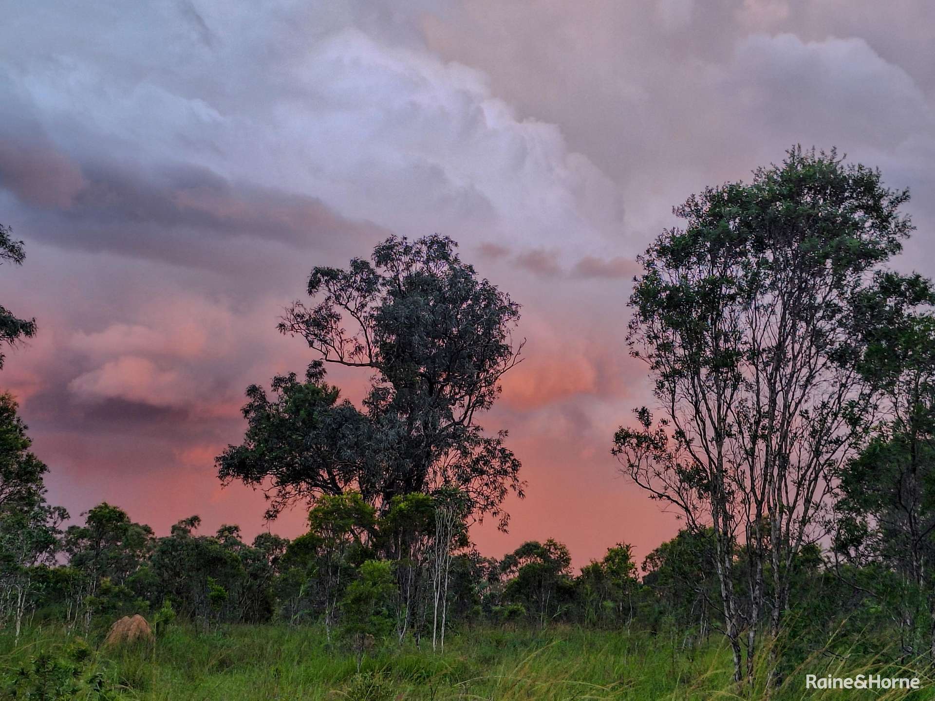 109 Short Road, Dimbulah For Sale by Farmbuy.com - image 10