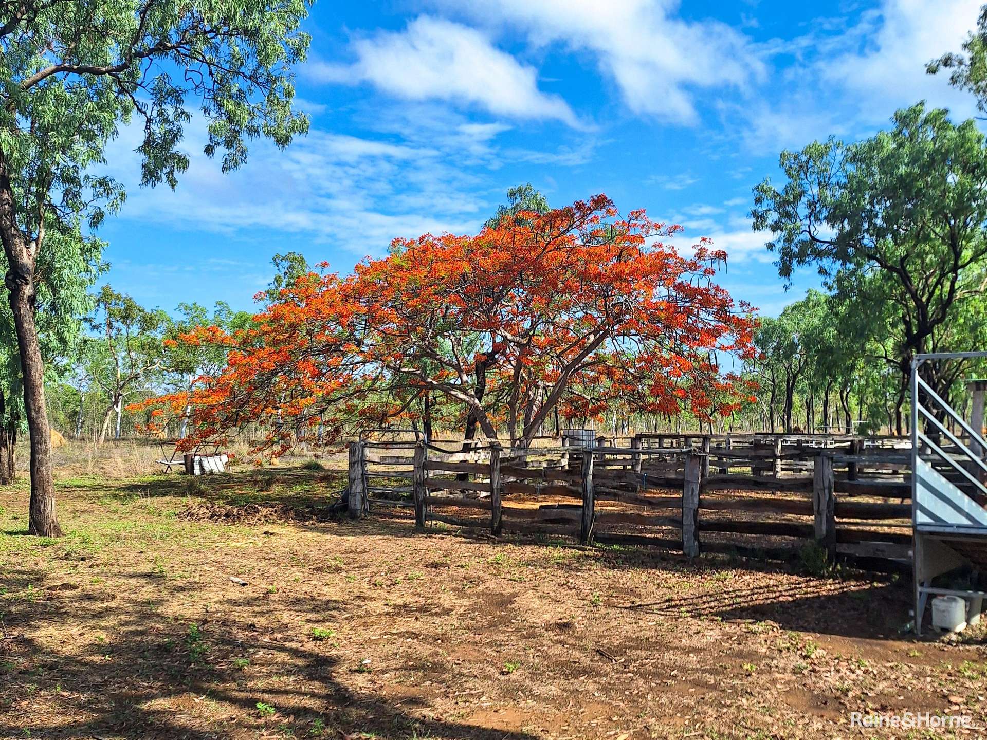 109 Short Road, Dimbulah For Sale by Farmbuy.com - image 3