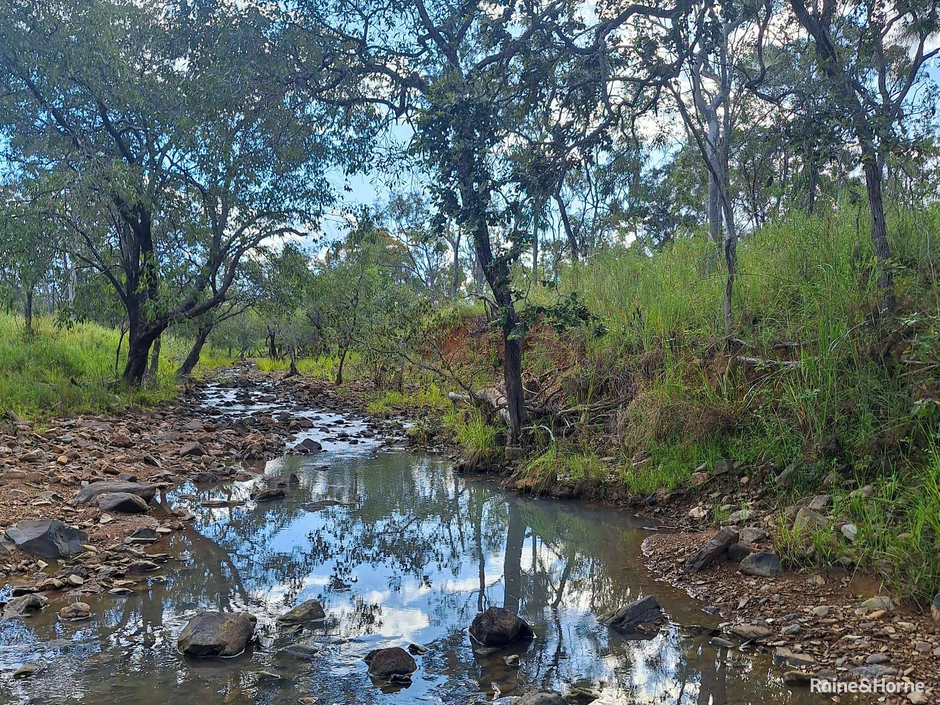 109 Short Road, Dimbulah For Sale by Farmbuy.com - image 5