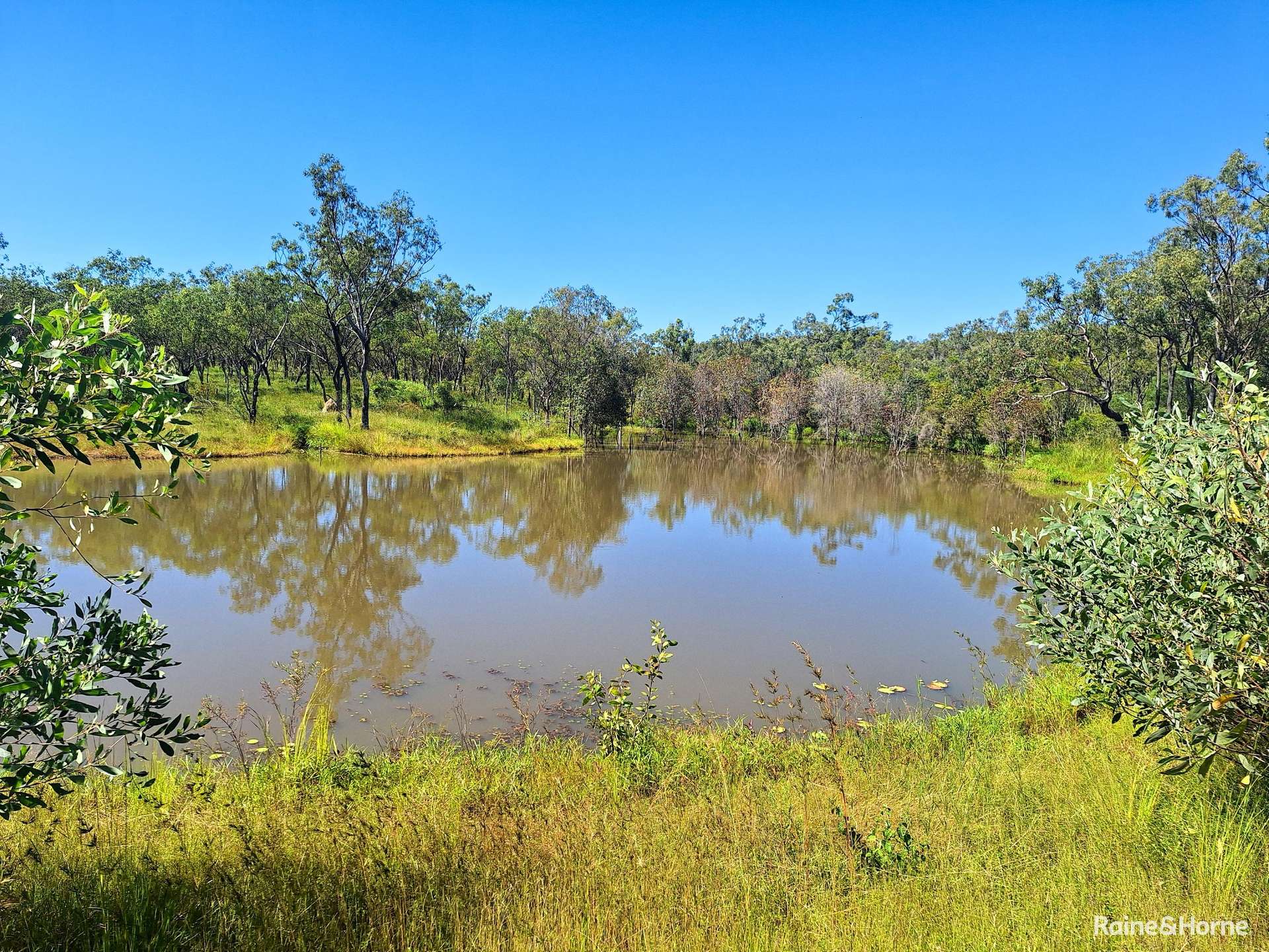 109 Short Road, Dimbulah For Sale by Farmbuy.com - image 2
