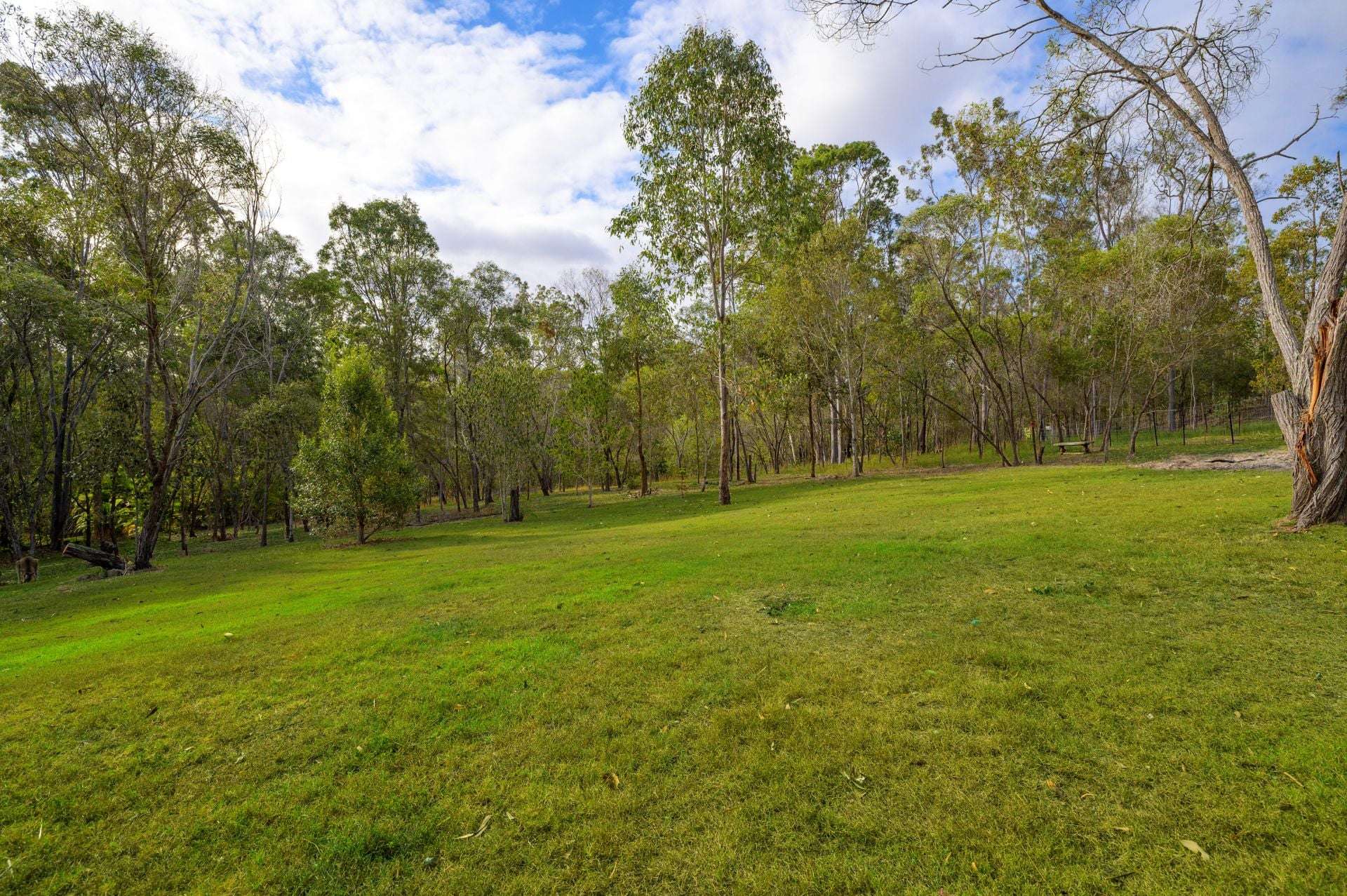 98 Lynne Drive, Curra For Sale by Farmbuy.com - image 14