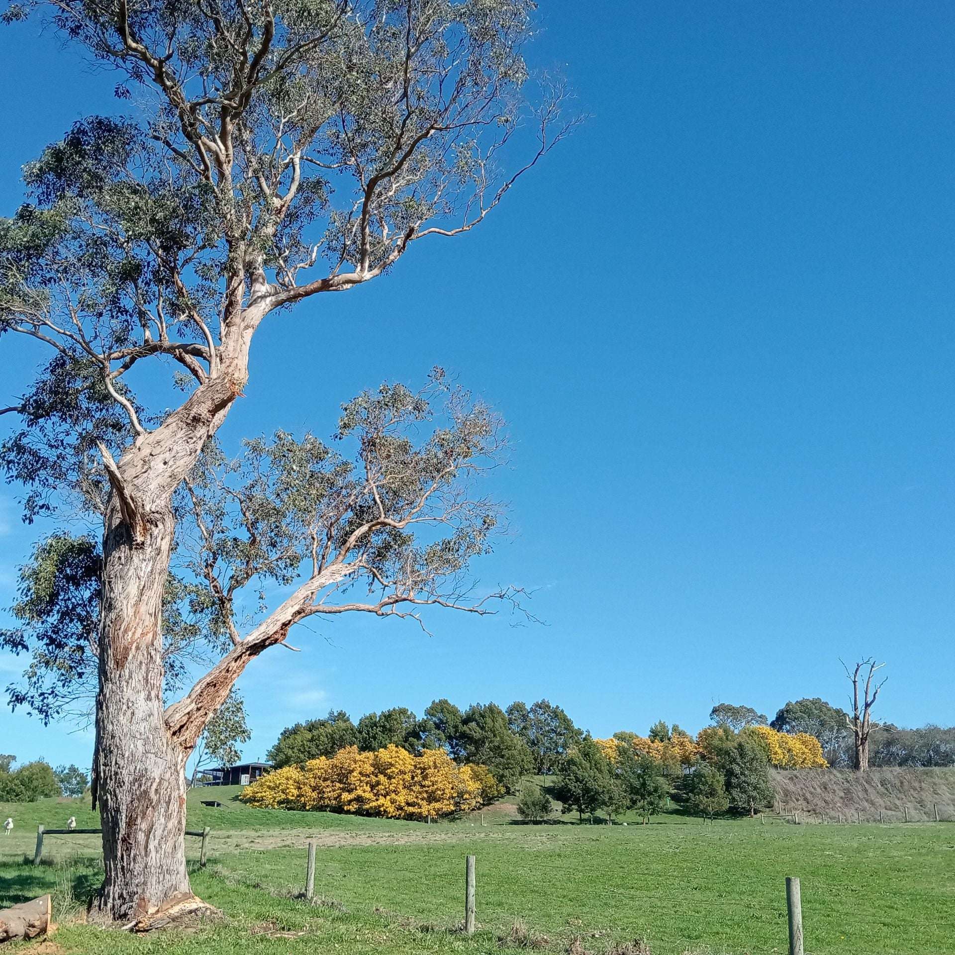 6/209 Timboon-Curdievale Road, Timboon For Sale by Farmbuy.com - image 25