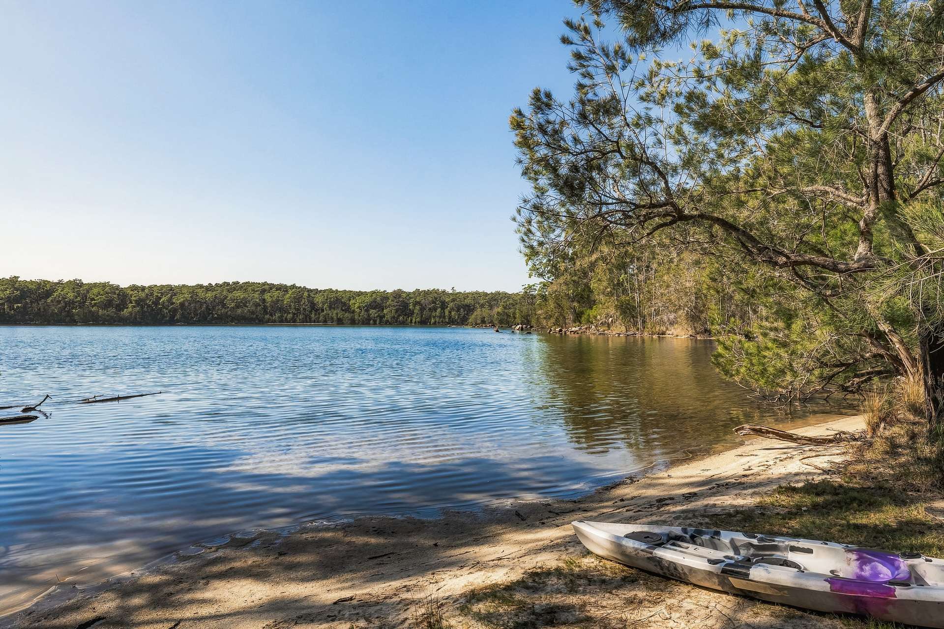 140 Gannons Point Road, Bodalla For Sale by Farmbuy.com - image 23