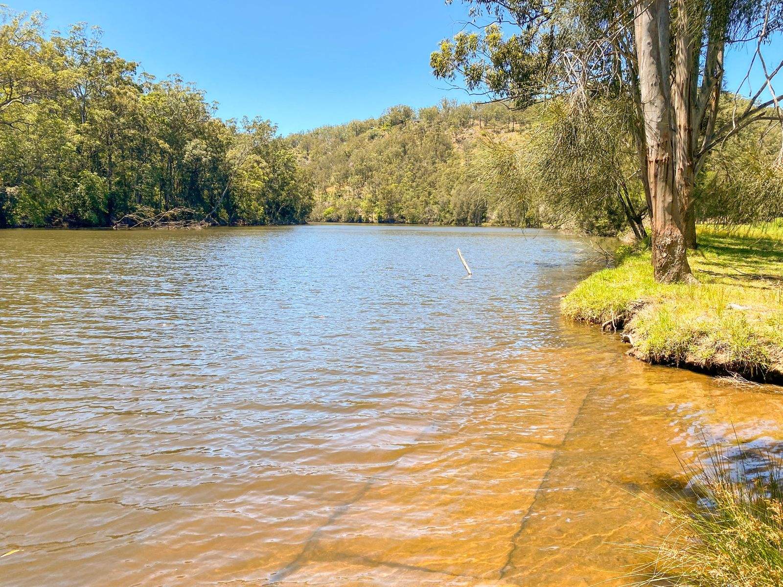 180 Stage Coach Road, Batar Creek For Sale by Farmbuy.com - image 10