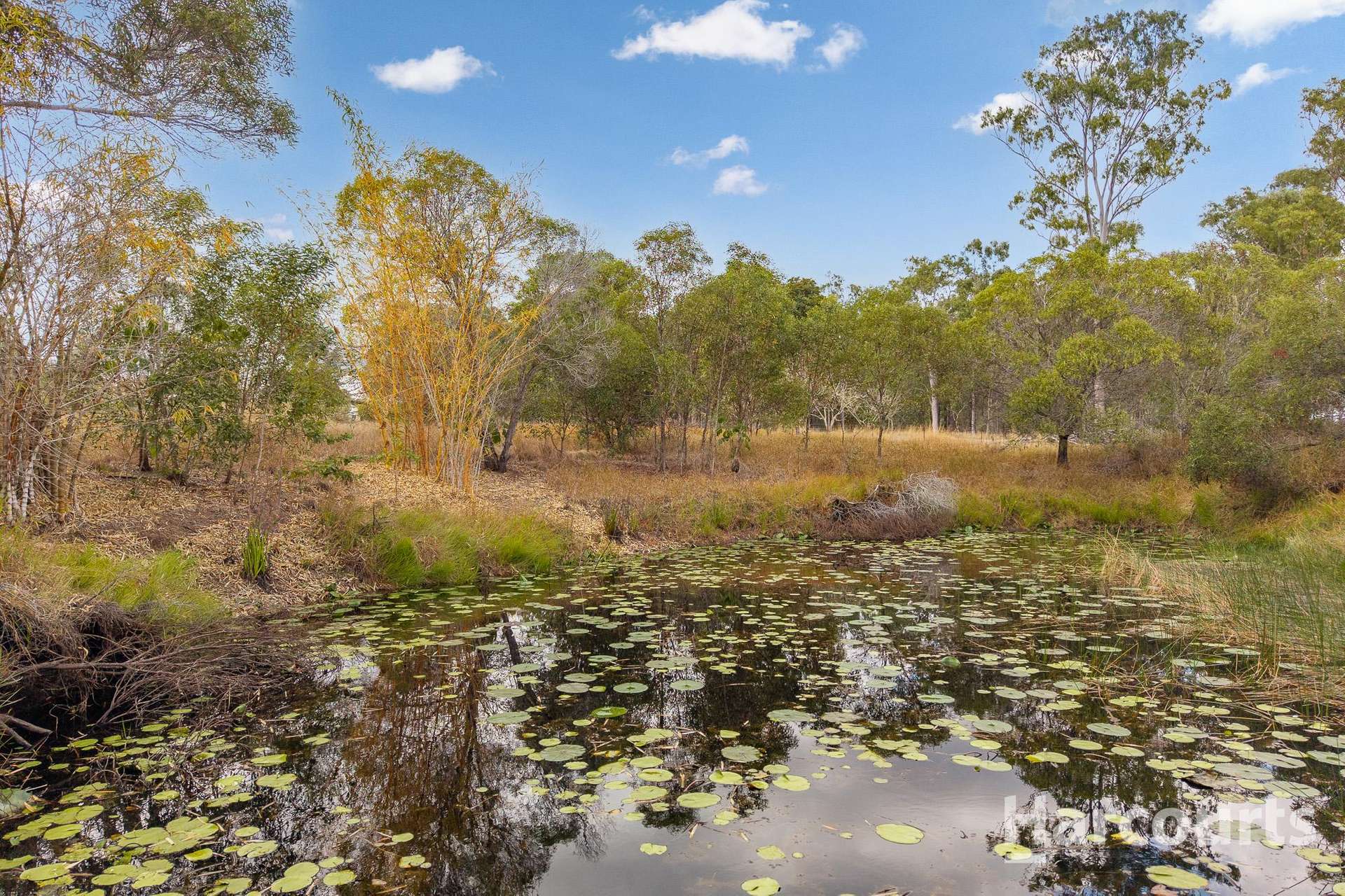 2 Gregory Drive, Redridge For Sale by Farmbuy.com - image 17