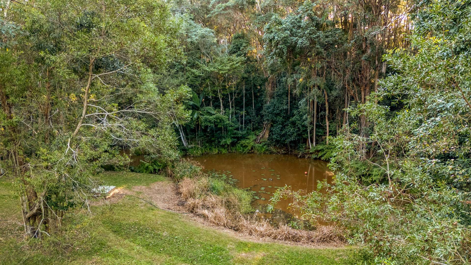 125 Duke Road, Doonan For Sale by Farmbuy.com - image 18