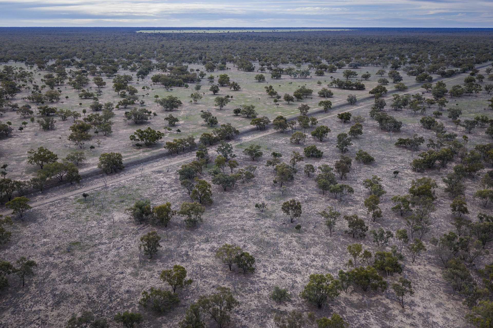 10415 Arthur Hall VC Way, Brewarrina Auction by Farmbuy.com - image 22