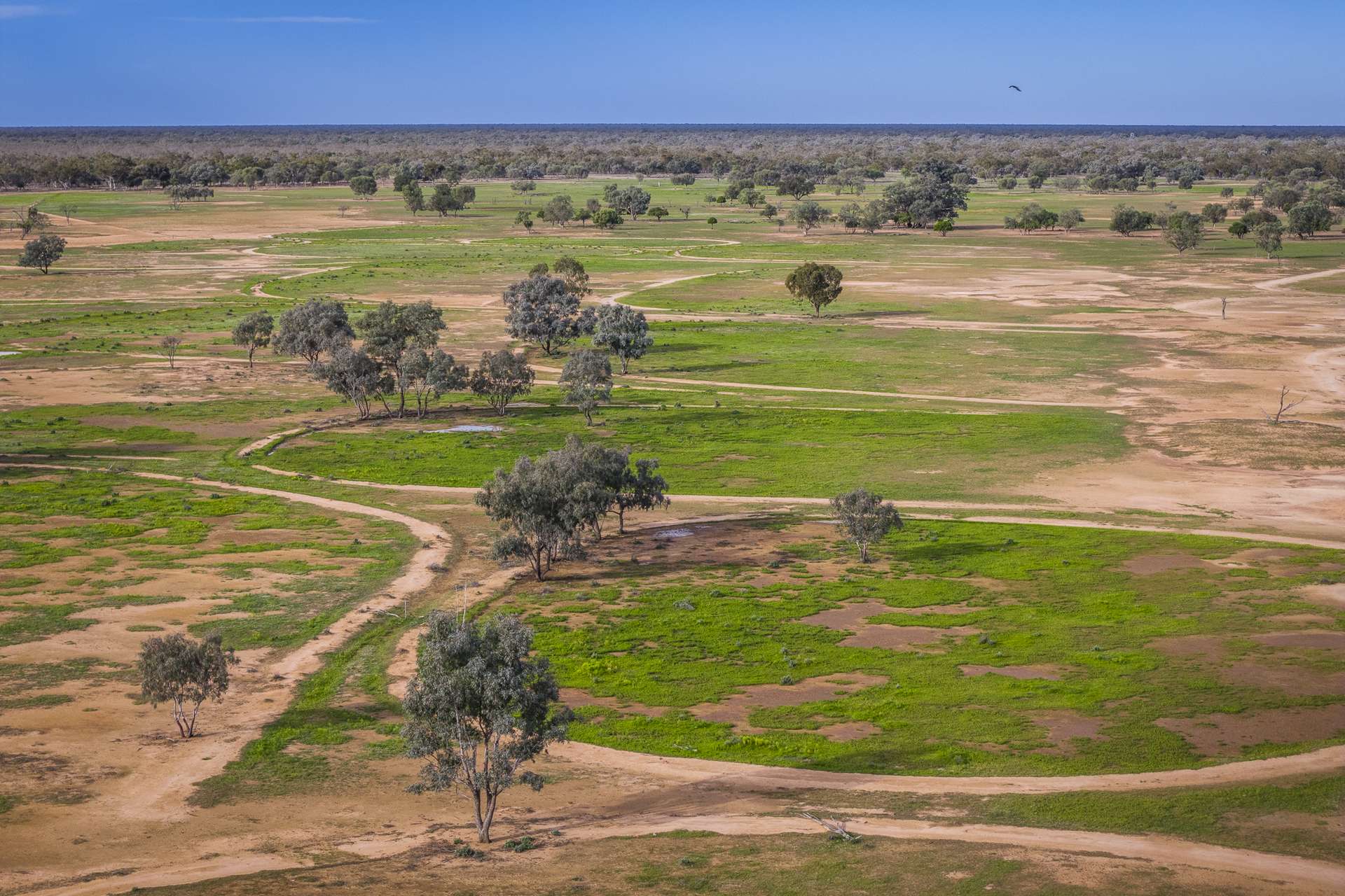 10415 Arthur Hall VC Way, Brewarrina Auction by Farmbuy.com - image 3