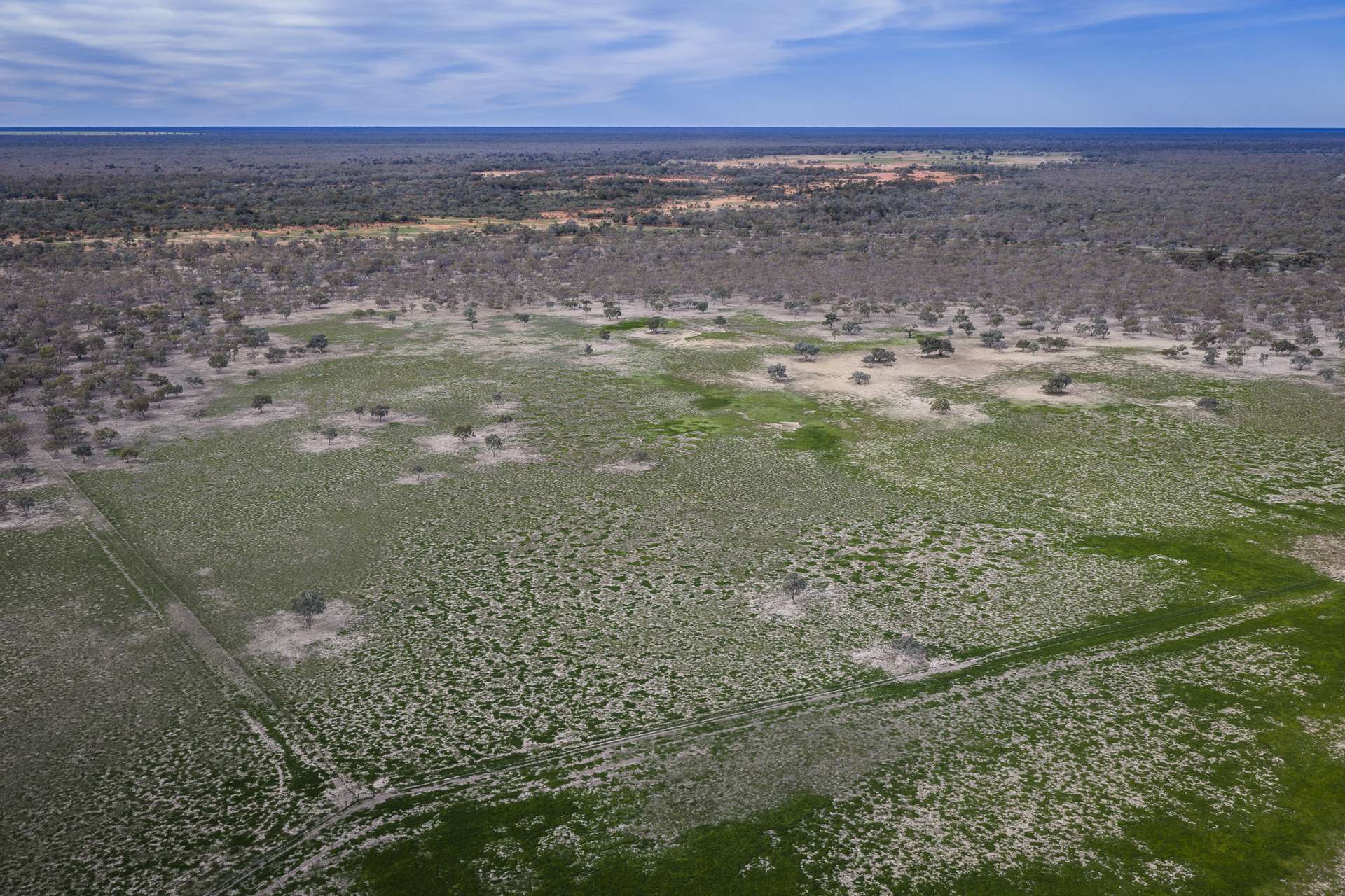 10415 Arthur Hall VC Way, Brewarrina Auction by Farmbuy.com - image 17