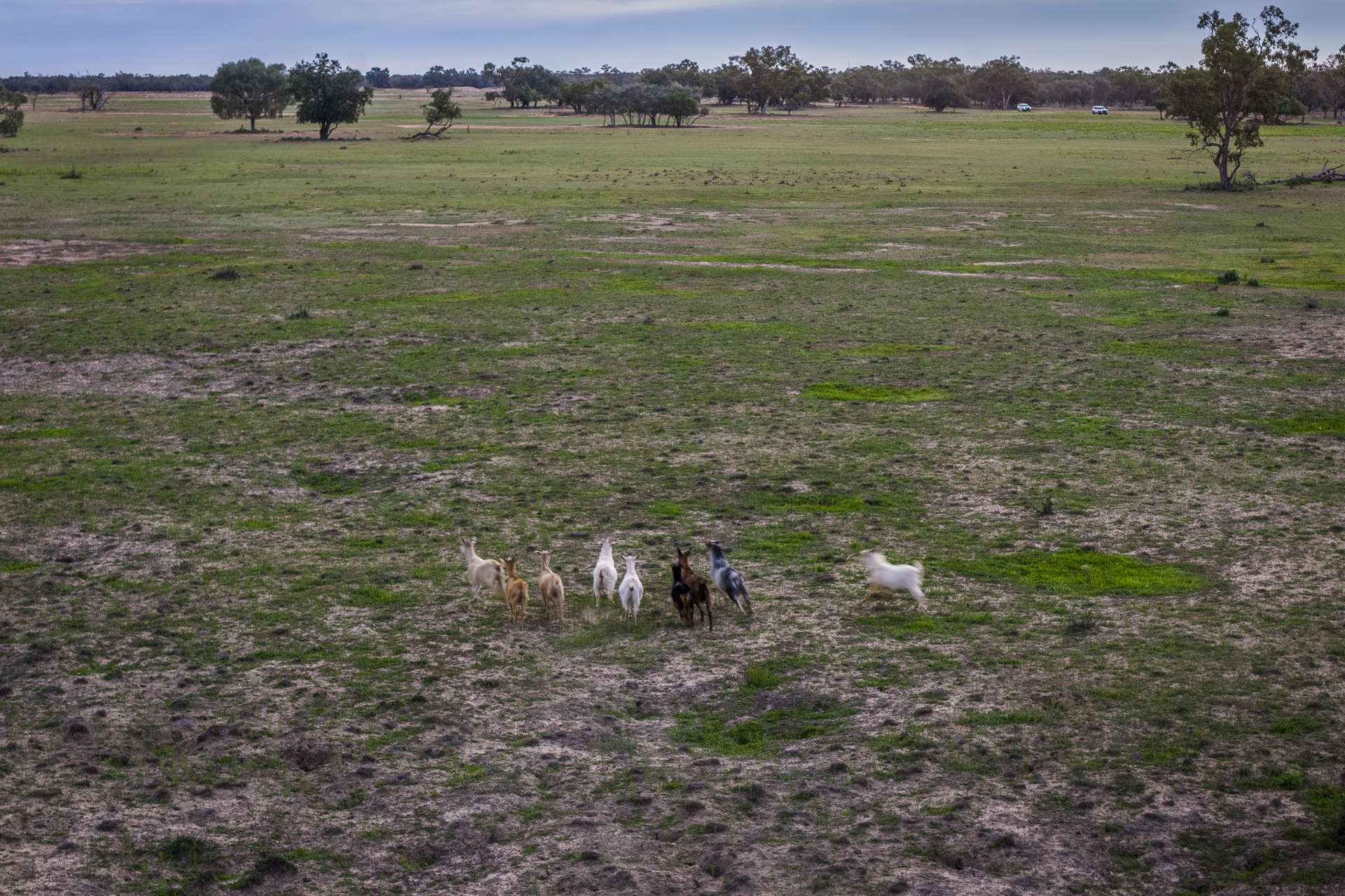 10415 Arthur Hall VC Way, Brewarrina Auction by Farmbuy.com - image 23